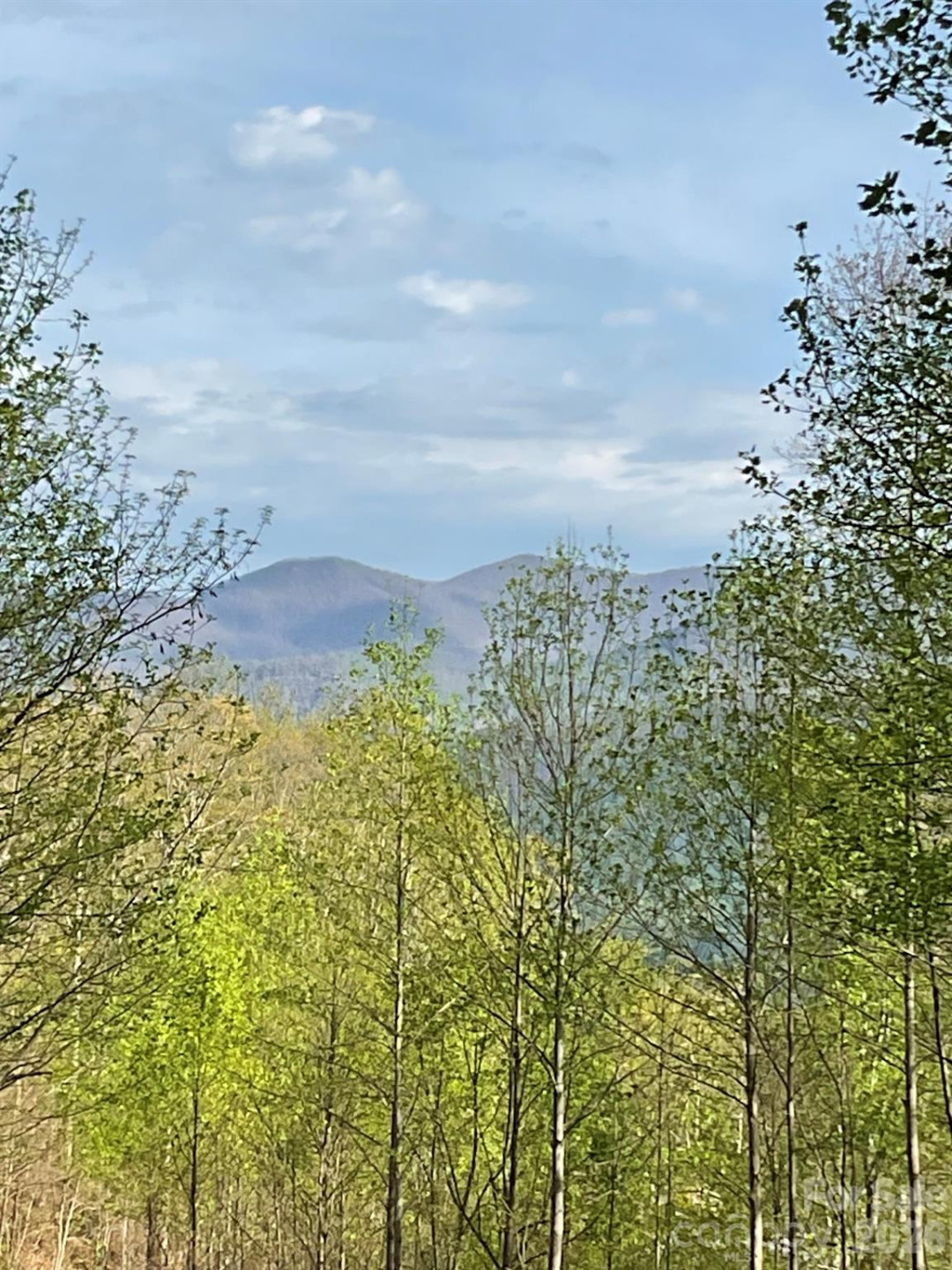 1414 Easy Wind Drive #56 - Photo 13