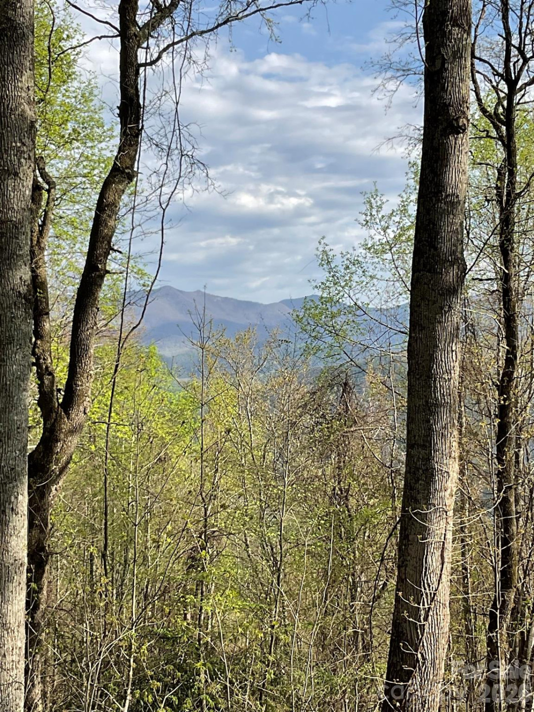 1414 Easy Wind Drive #56 - Photo 5