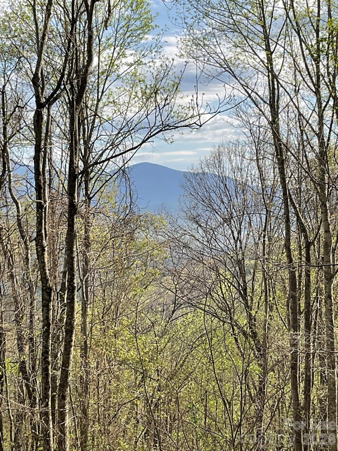 1414 Easy Wind Drive #56 - Photo 6