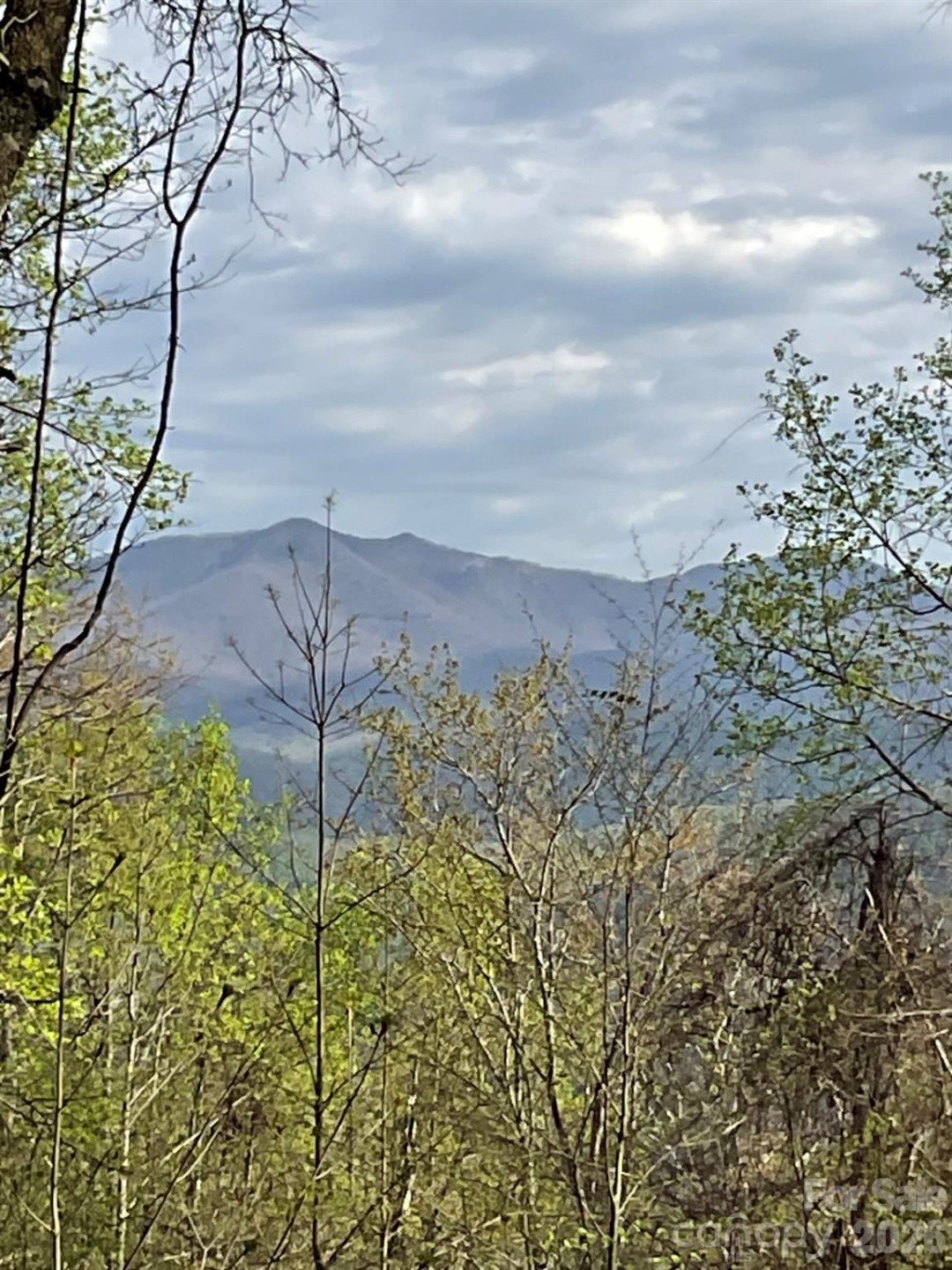 1414 Easy Wind Drive #56 - Photo 7