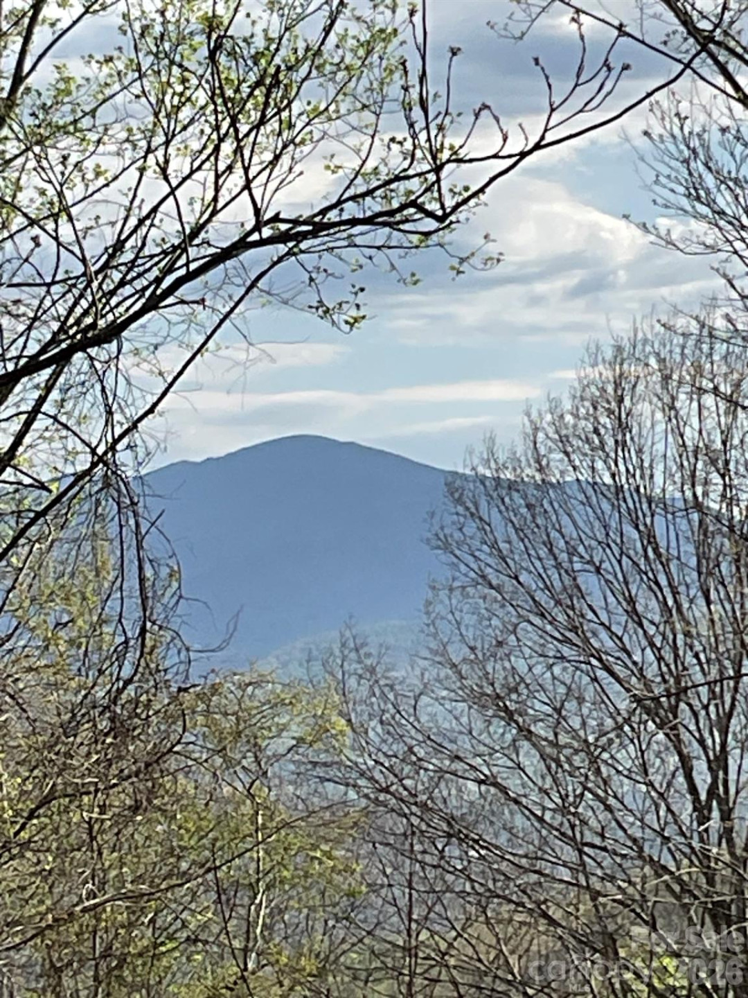 1414 Easy Wind Drive #56 - Photo 8