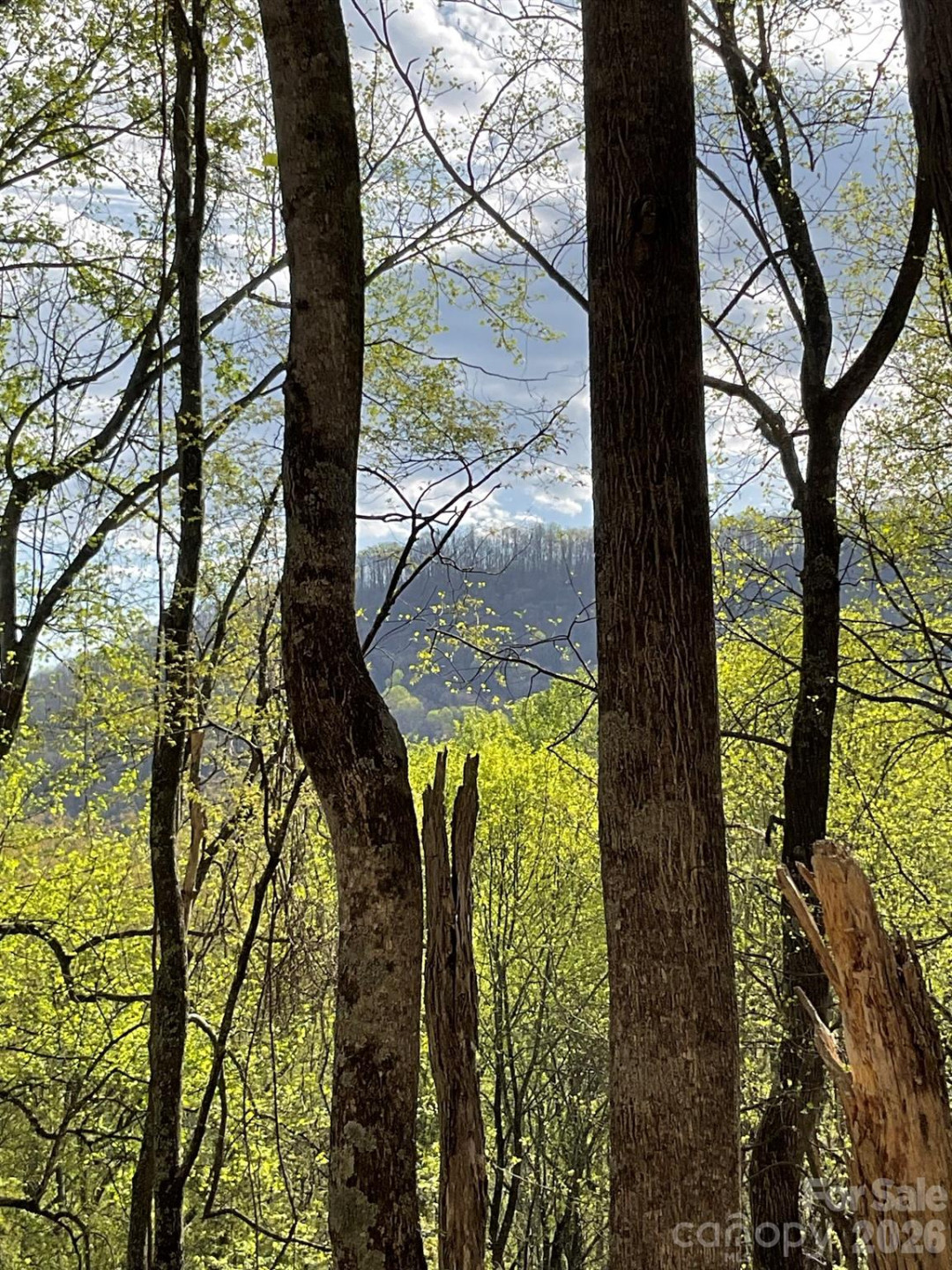 1414 Easy Wind Drive #56 - Photo 9