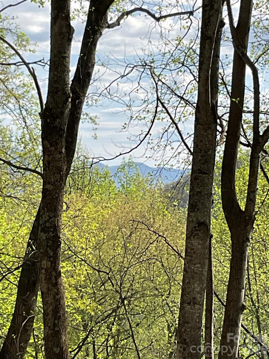 1414 Easy Wind Drive #56 - Photo 10