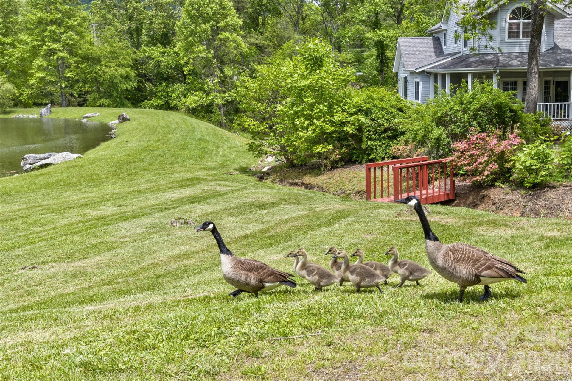 25 Windsong Drive - Photo 29