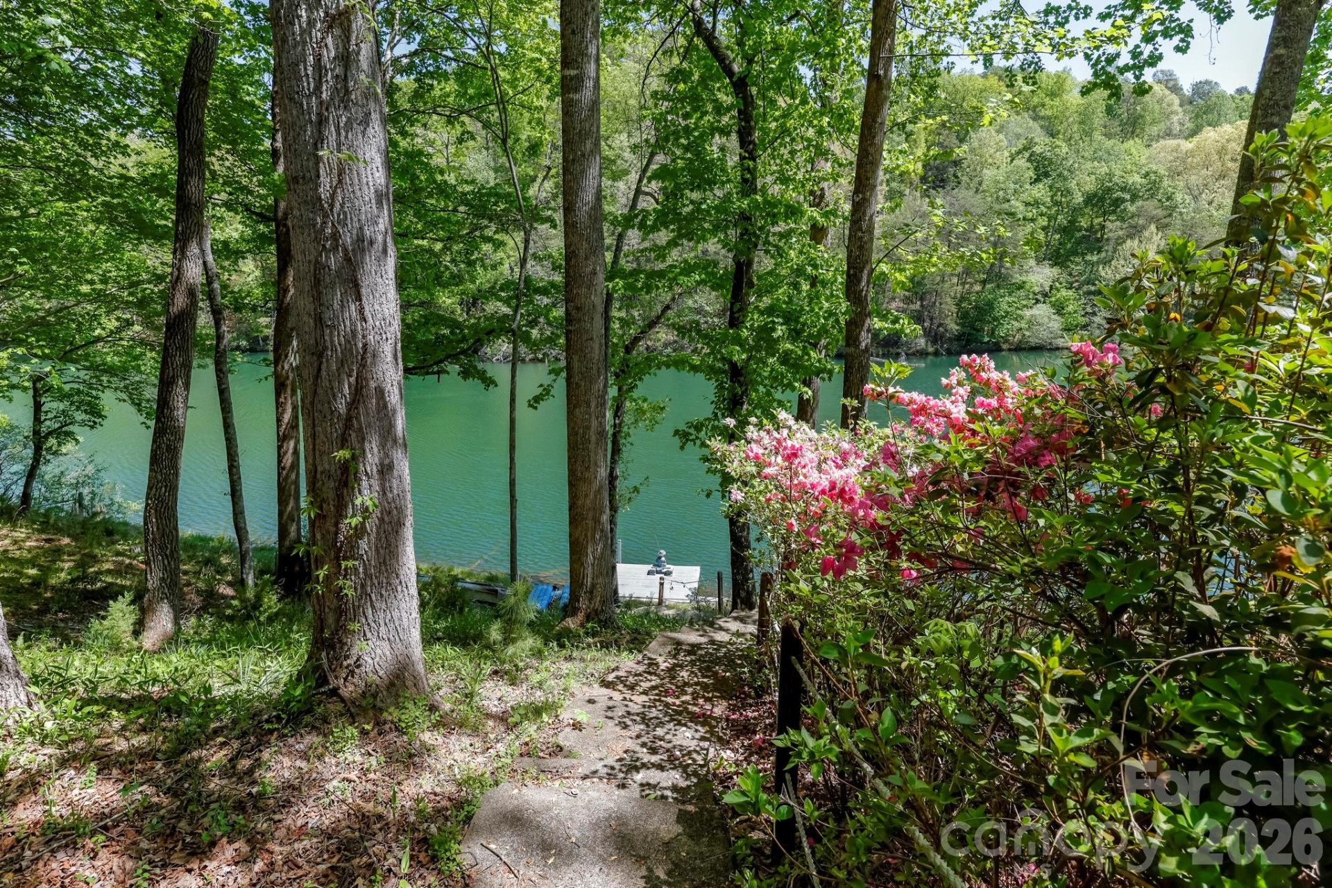 116 Teal Lane - Photo 4