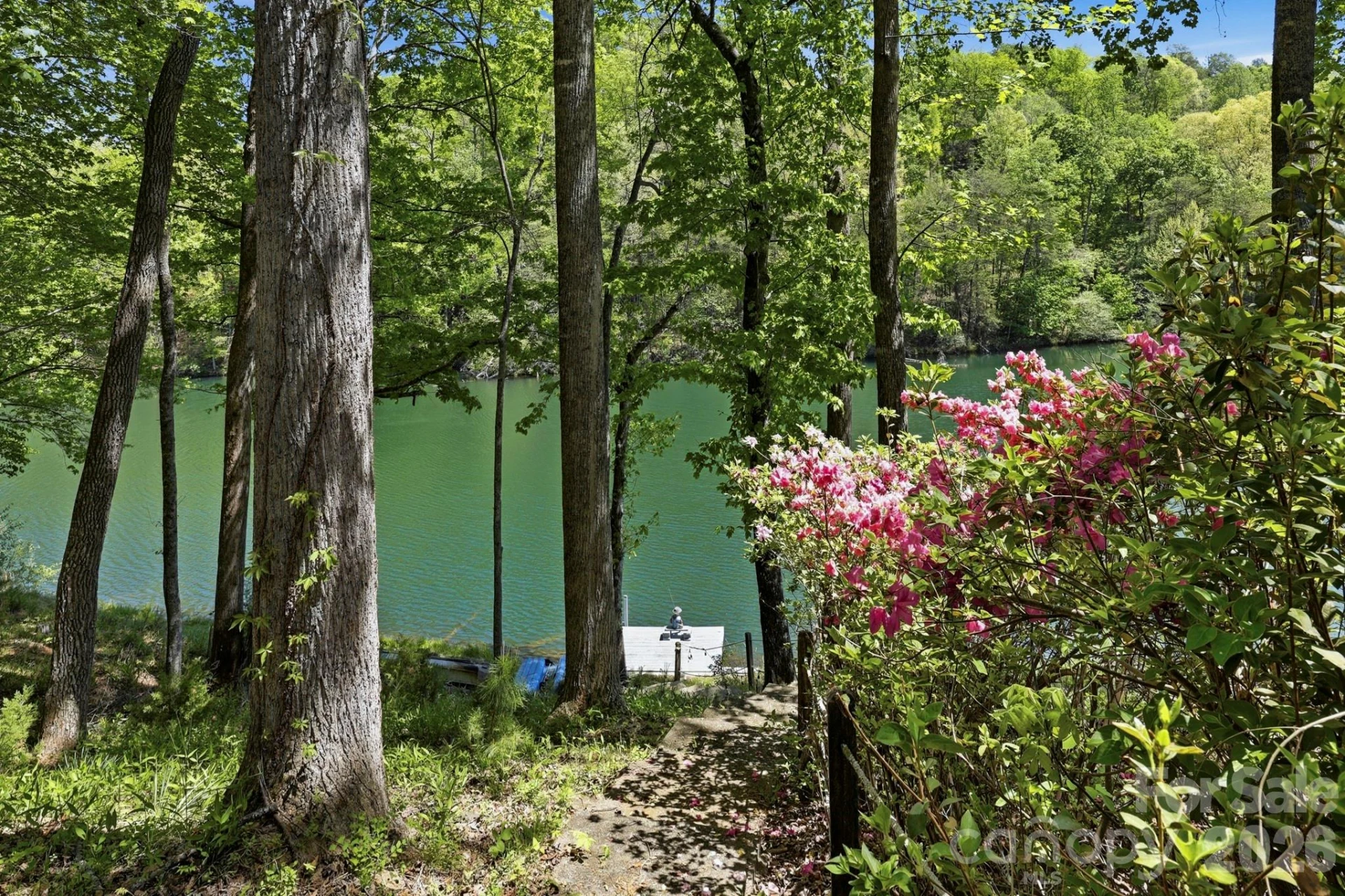 116 Teal Lane - Photo 7