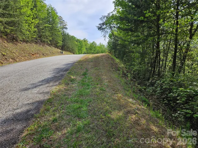 0 High Pines Loop, Lake Lure, NC, 28746