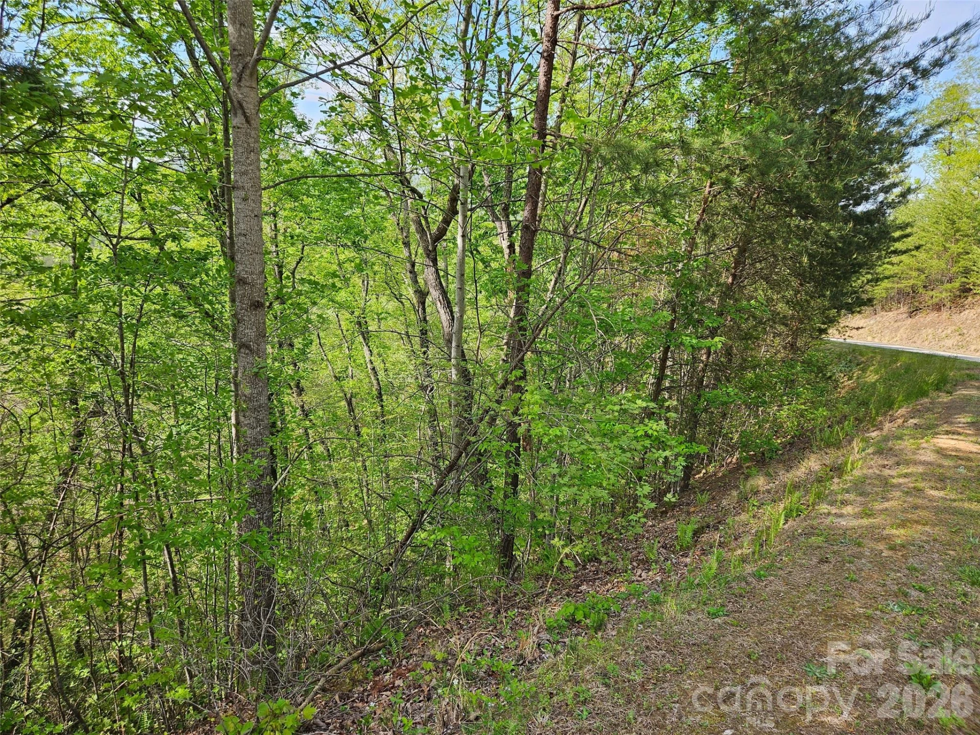 0 High Pines Loop #101 - Photo 2