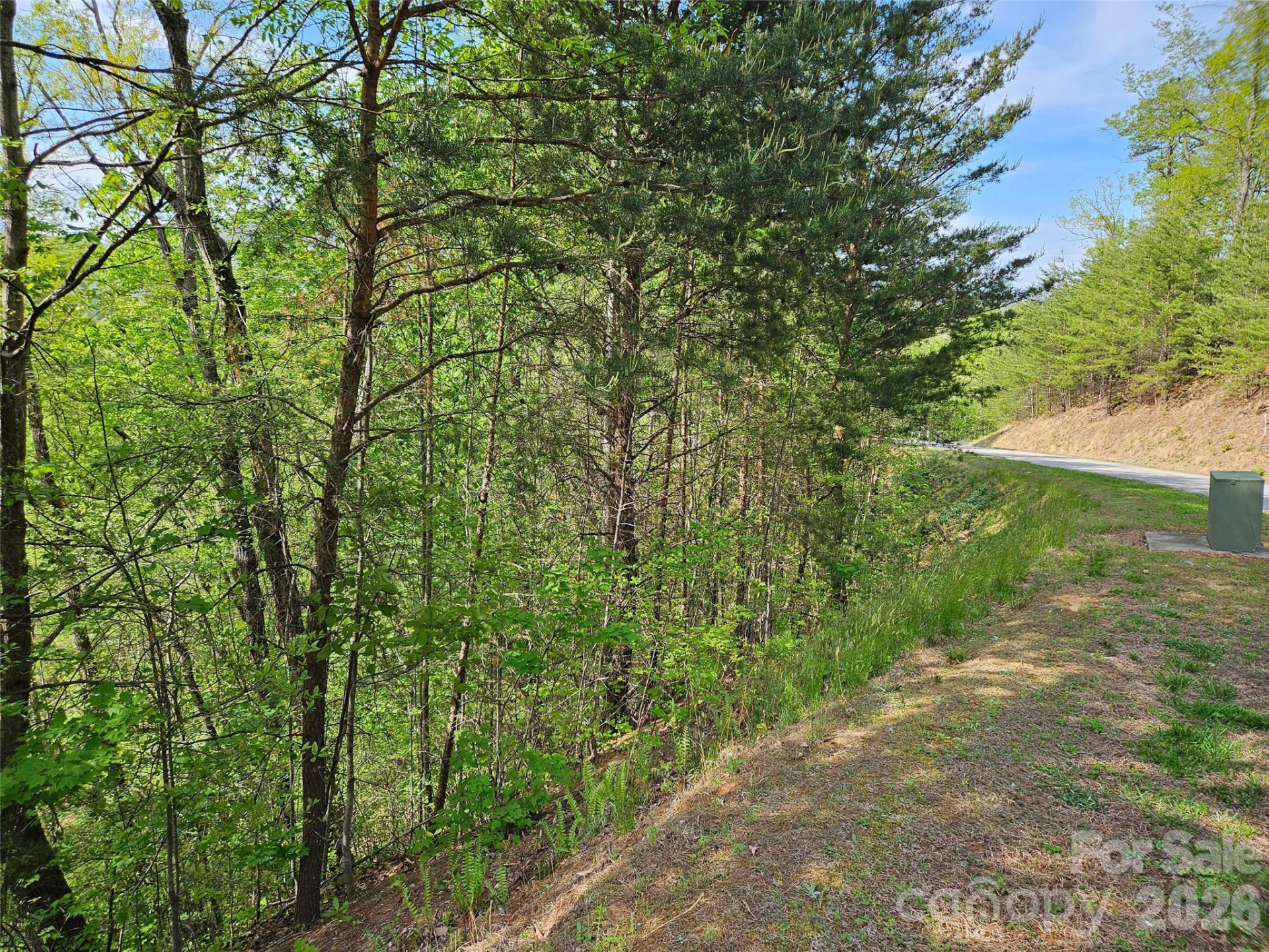 0 High Pines Loop #101 - Photo 3