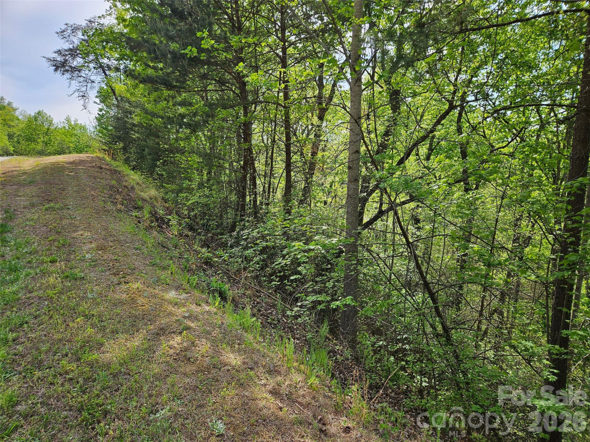 0 High Pines Loop #101 - Photo 4