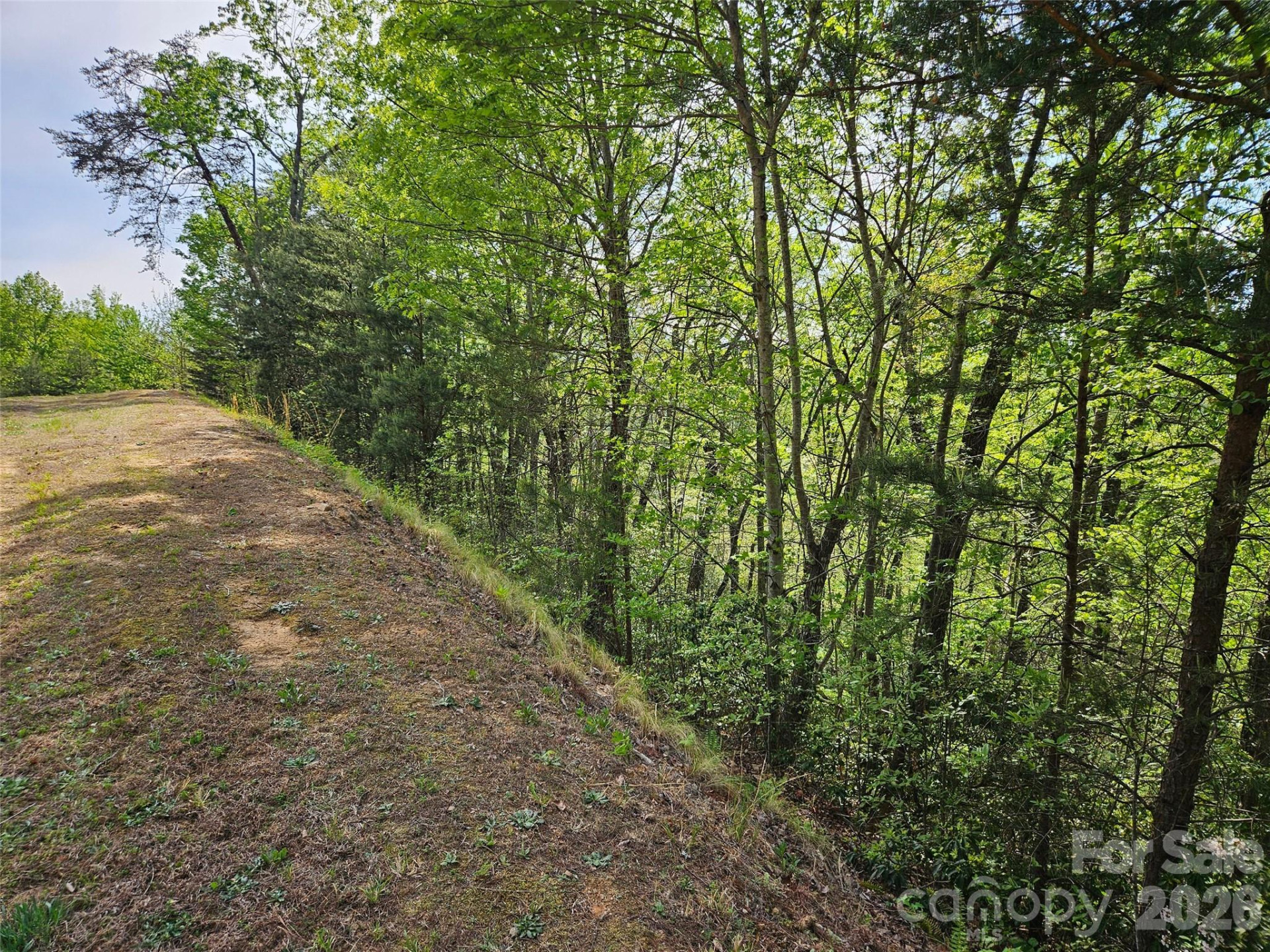 0 High Pines Loop #101 - Photo 8