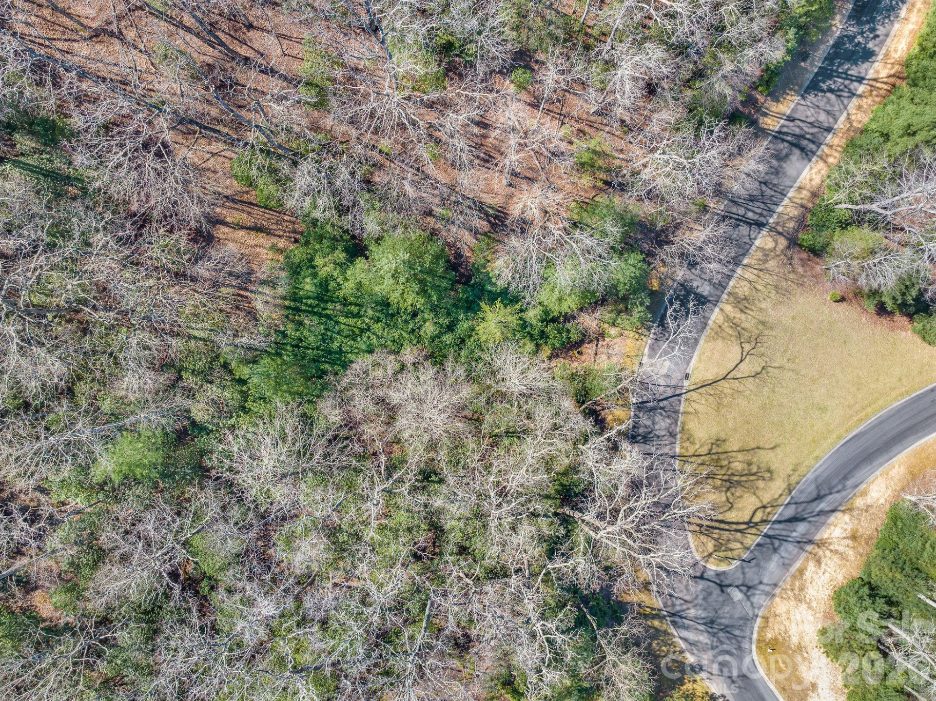 116 May Fly Lane #116 - Photo 3