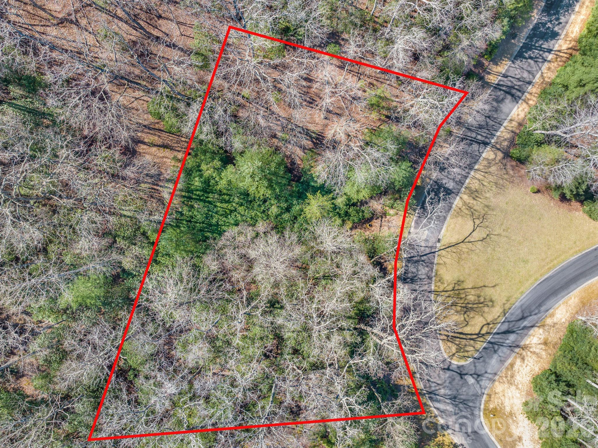 116 May Fly Lane #116 - Photo 4