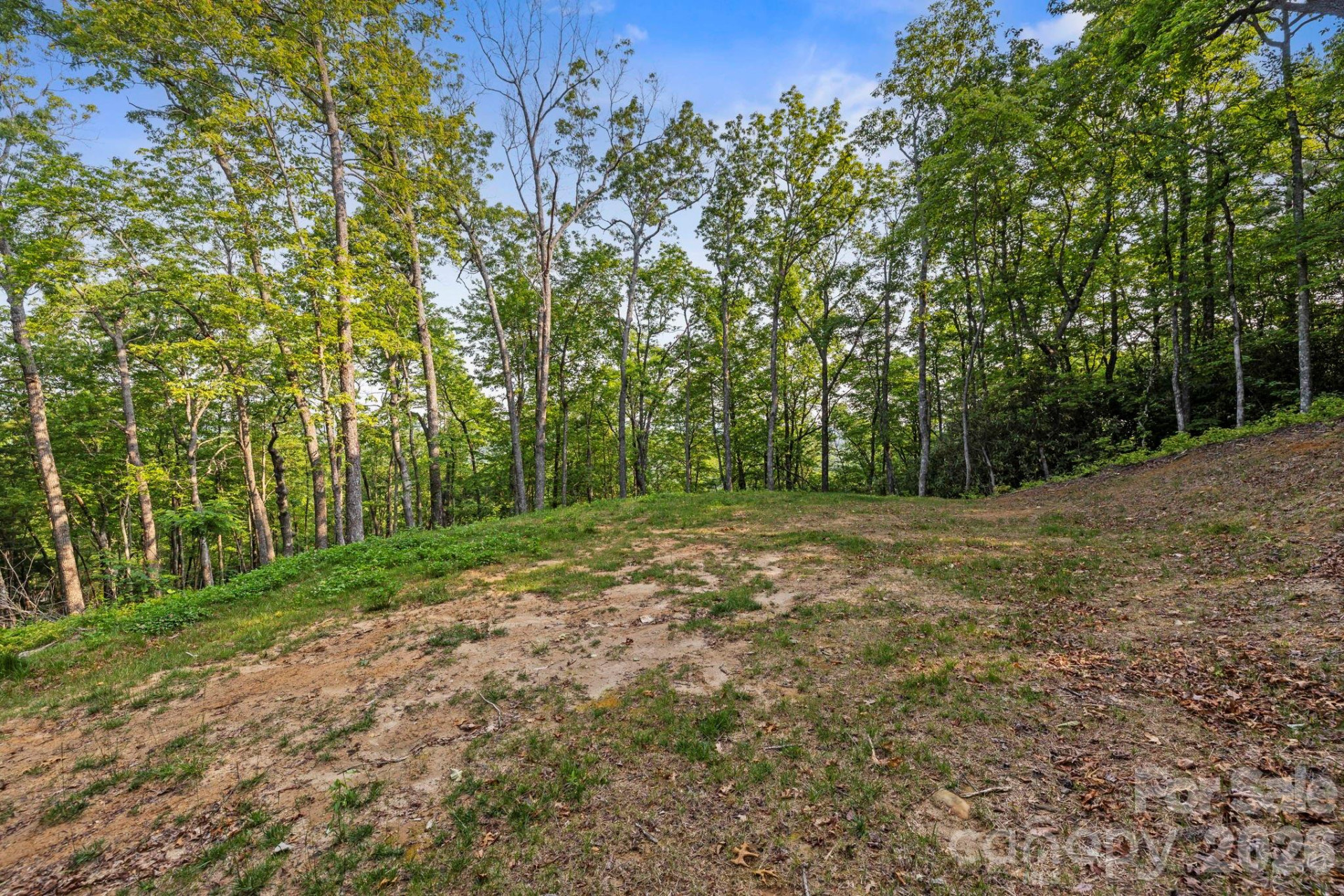 251 Paul McCoy Road - Photo 2