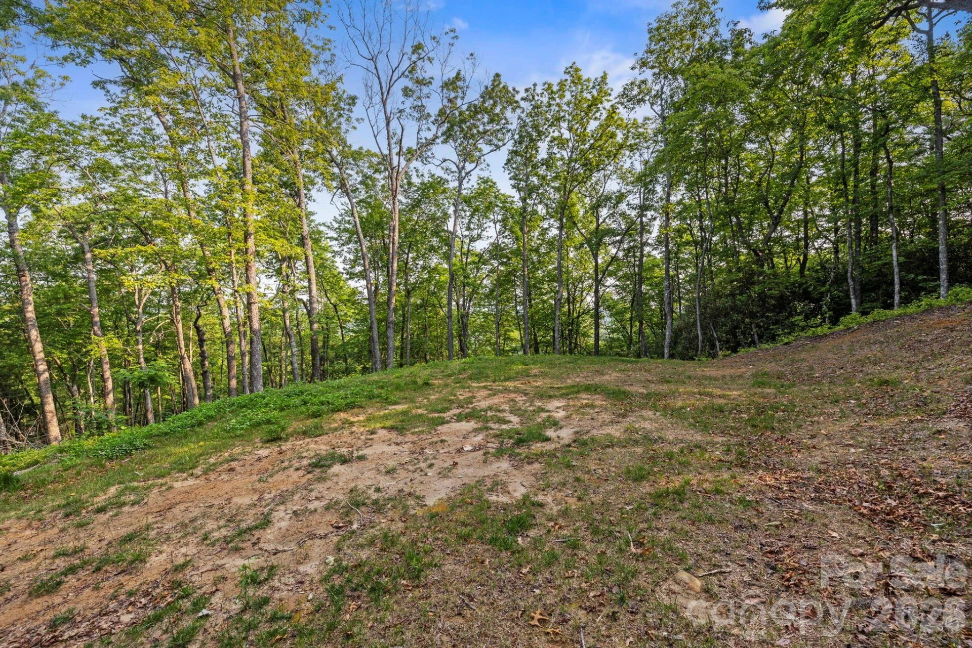 251 Paul McCoy Road - Photo 2