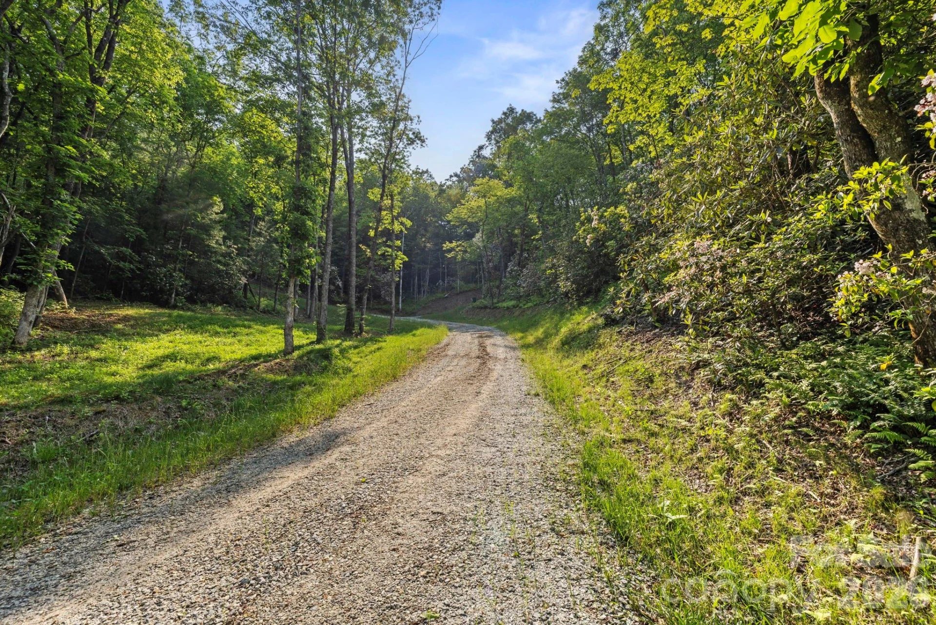 251 Paul McCoy Road - Photo 11