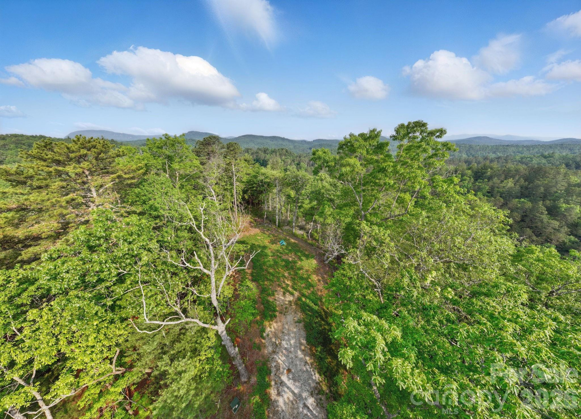 251 Paul McCoy Road - Photo 14