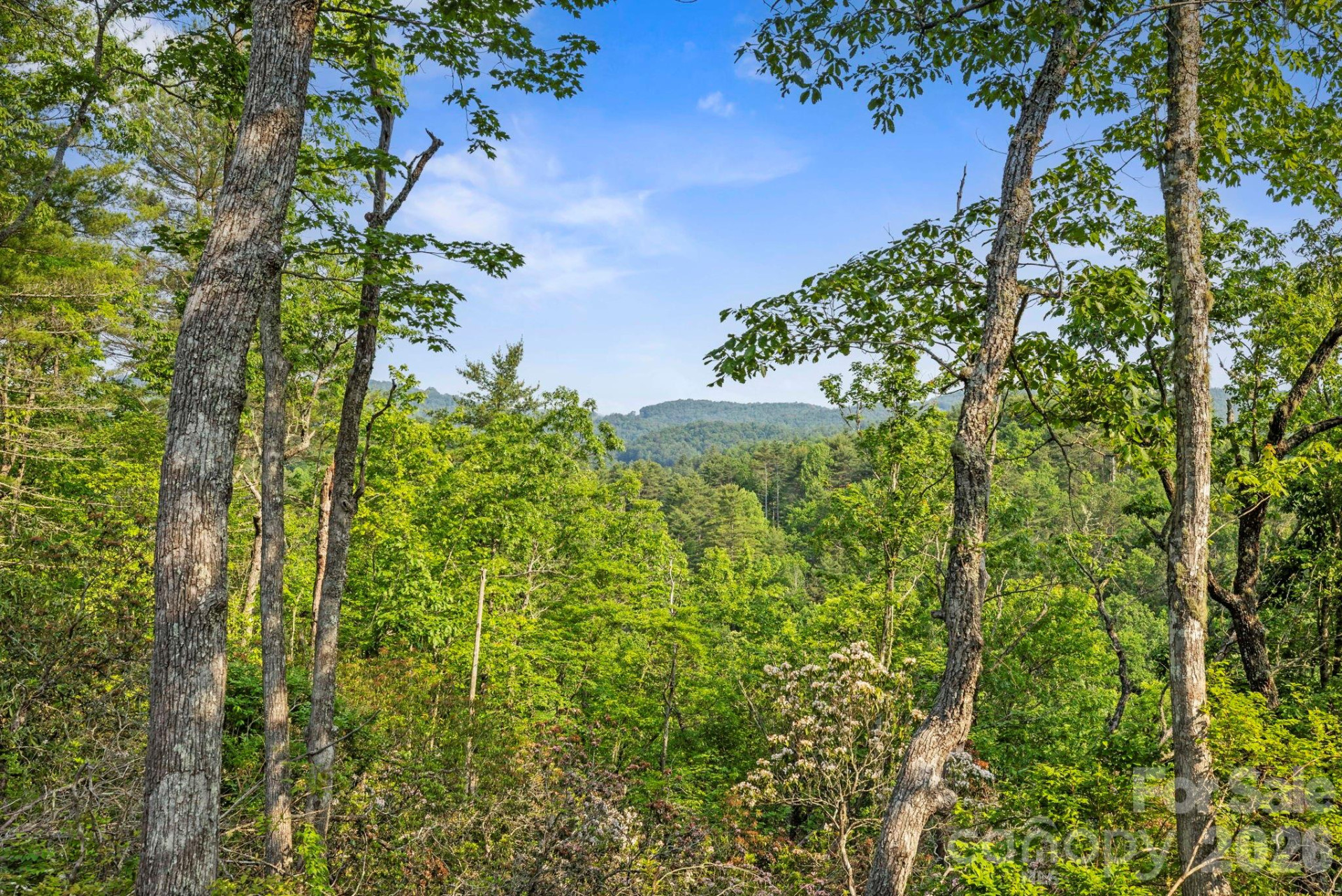 251 Paul McCoy Road - Photo 4