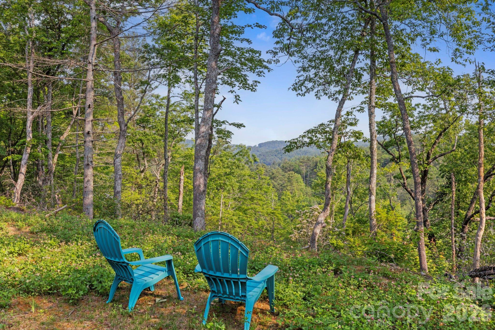 251 Paul McCoy Road - Photo 5