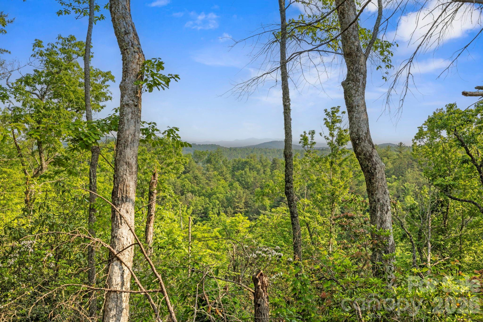 251 Paul McCoy Road - Photo 7