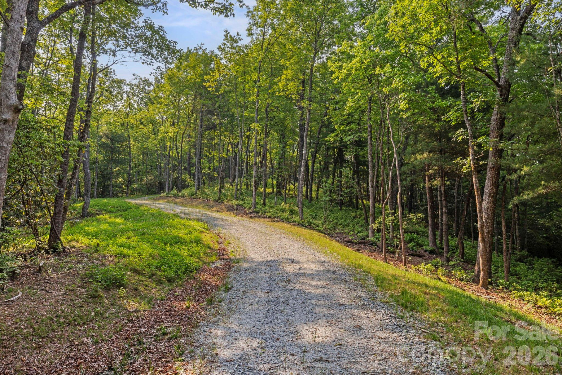 251 Paul McCoy Road - Photo 8