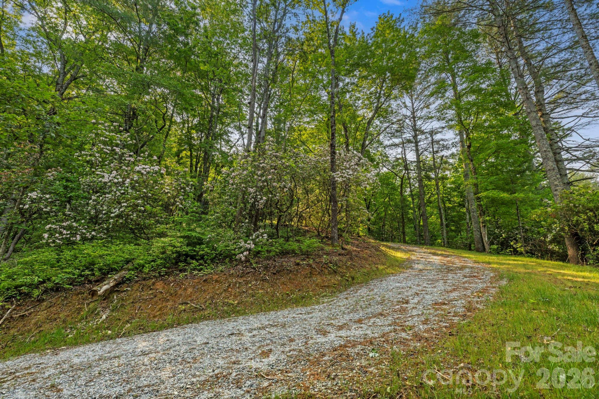 251 Paul McCoy Road - Photo 10