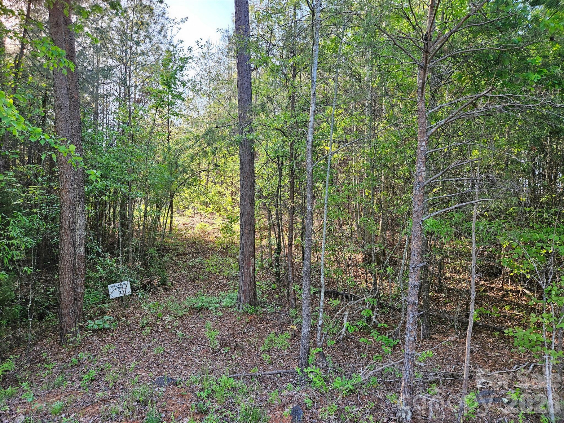 0 Old Hollis Road #2 - Photo 2