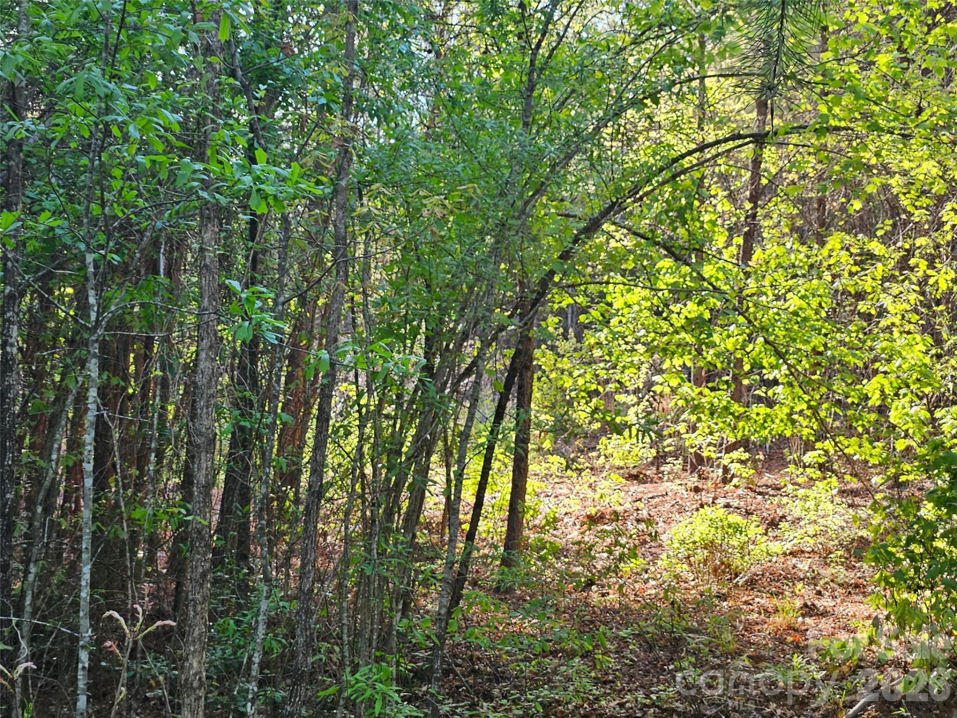 0 Old Hollis Road #2 - Photo 11