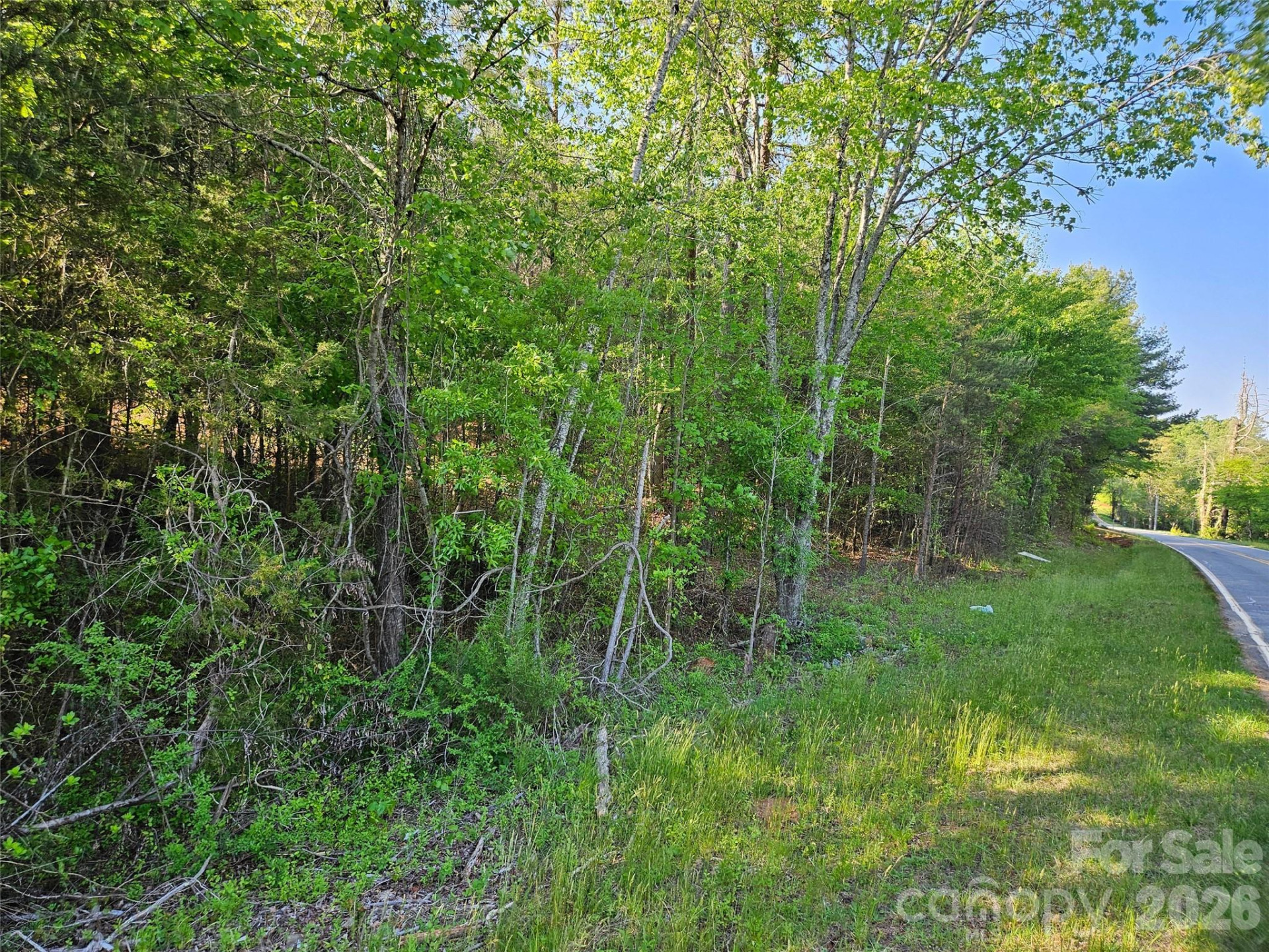 0 Old Hollis Road #2 - Photo 12