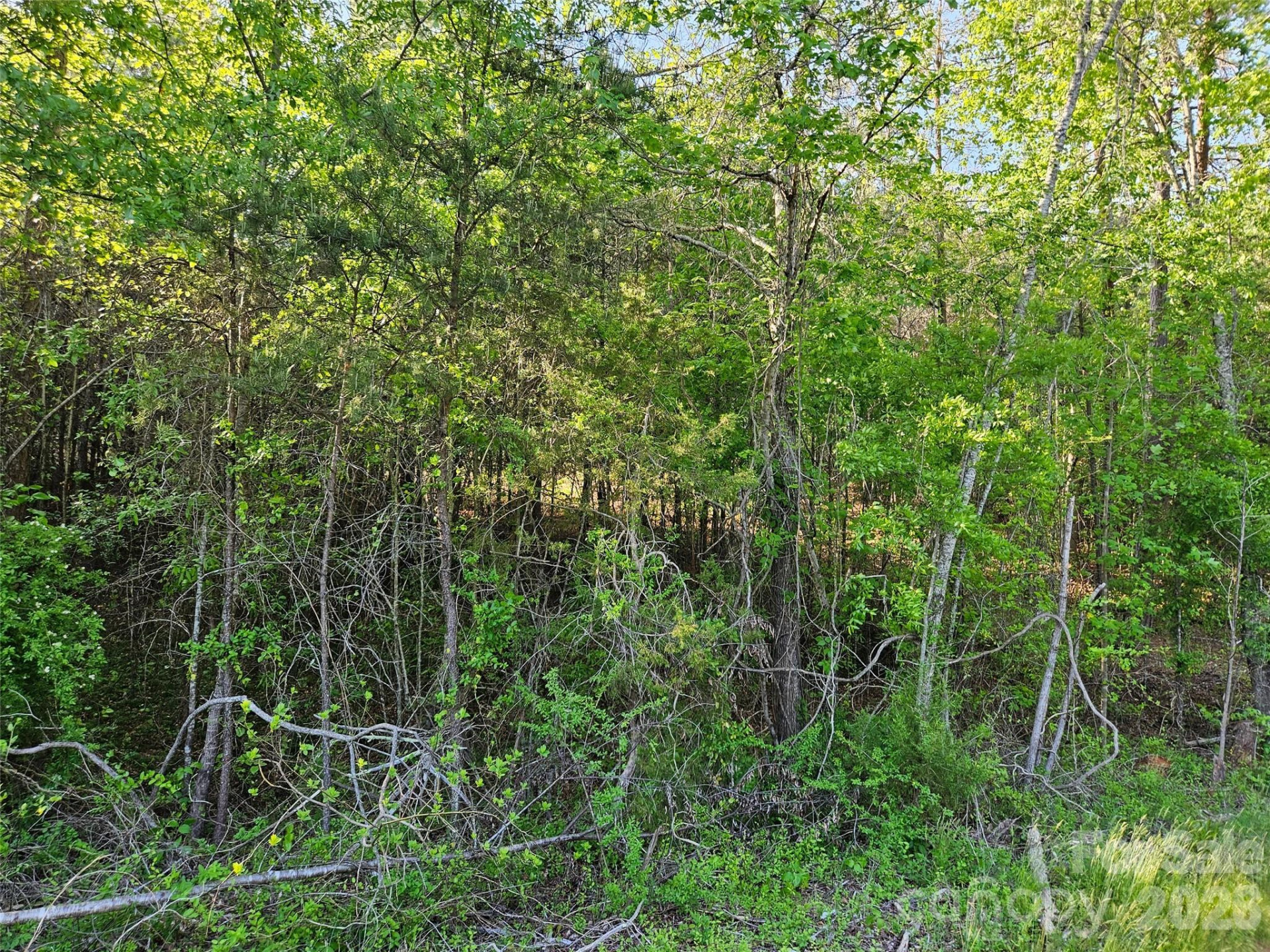 0 Old Hollis Road #2 - Photo 13