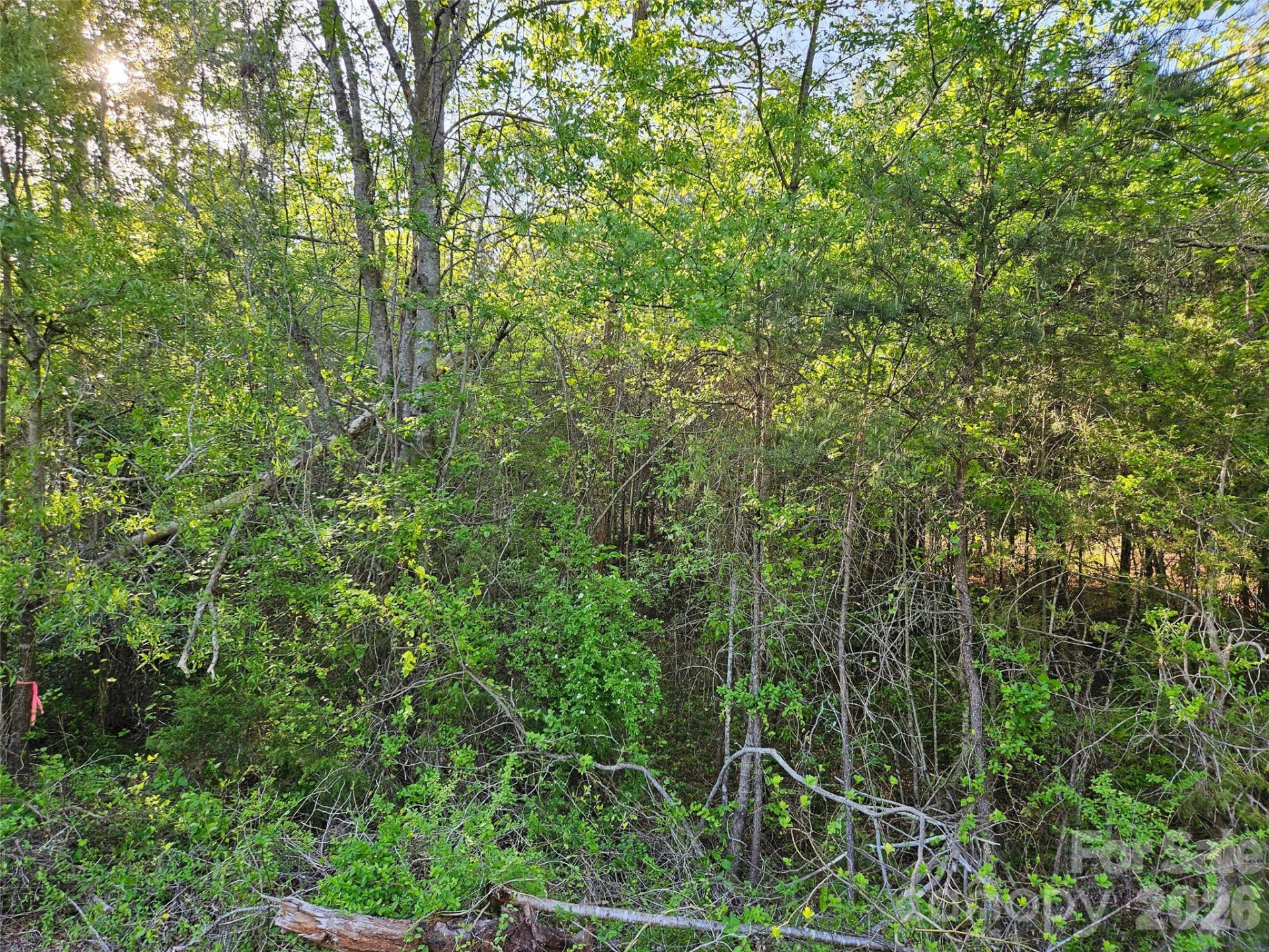 0 Old Hollis Road #2 - Photo 14