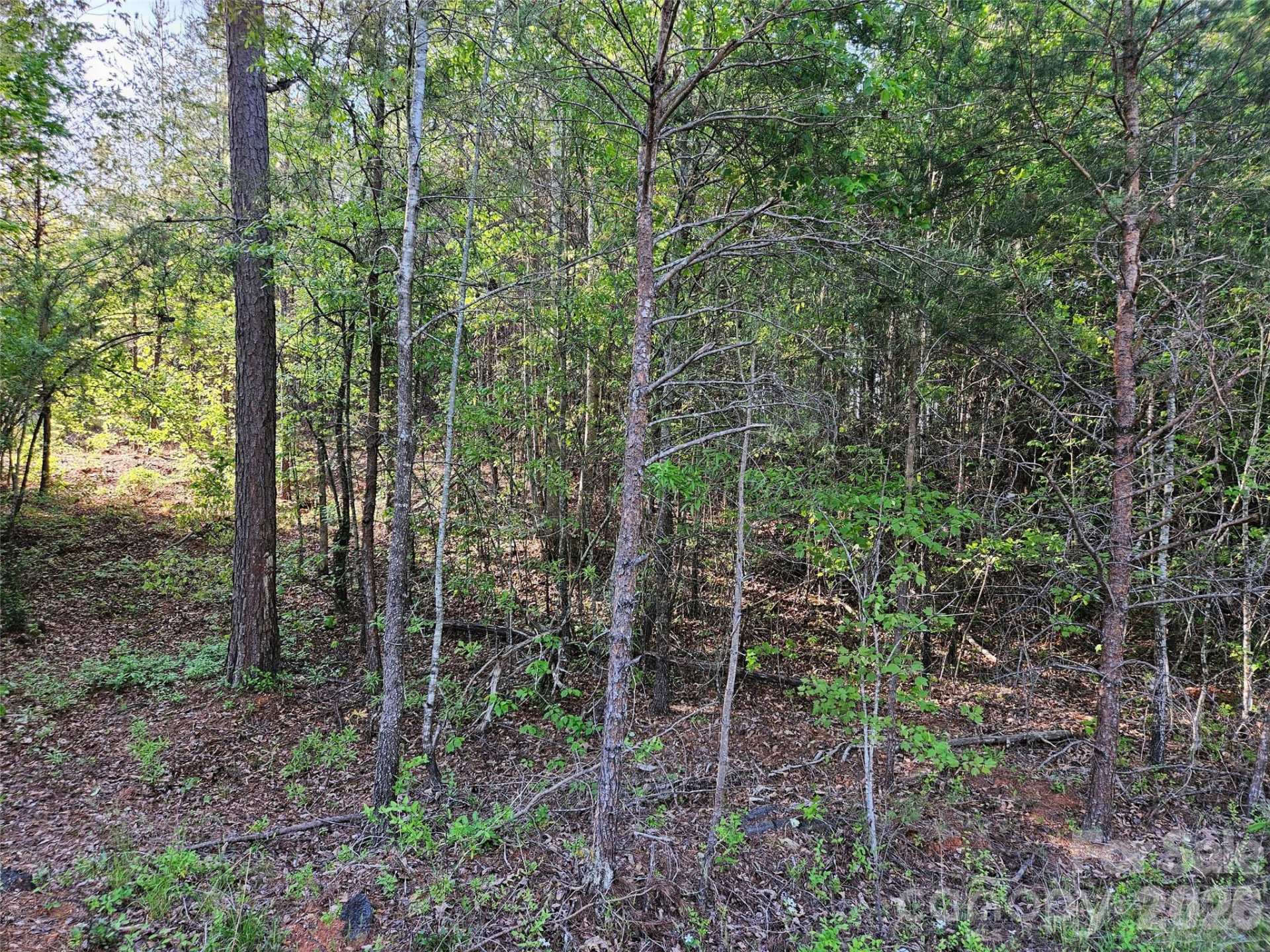 0 Old Hollis Road #2 - Photo 15