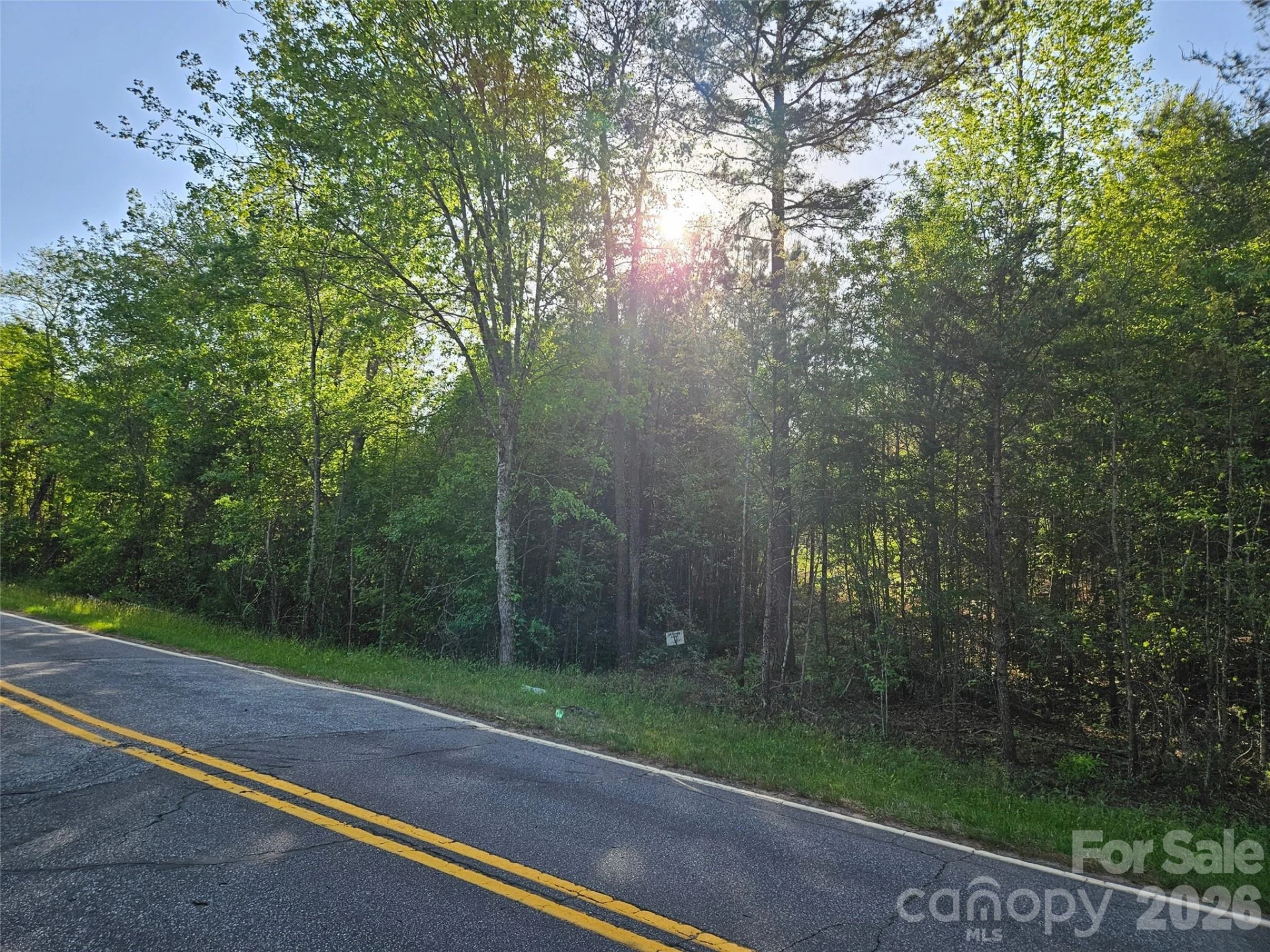 0 Old Hollis Road #2 - Photo 3