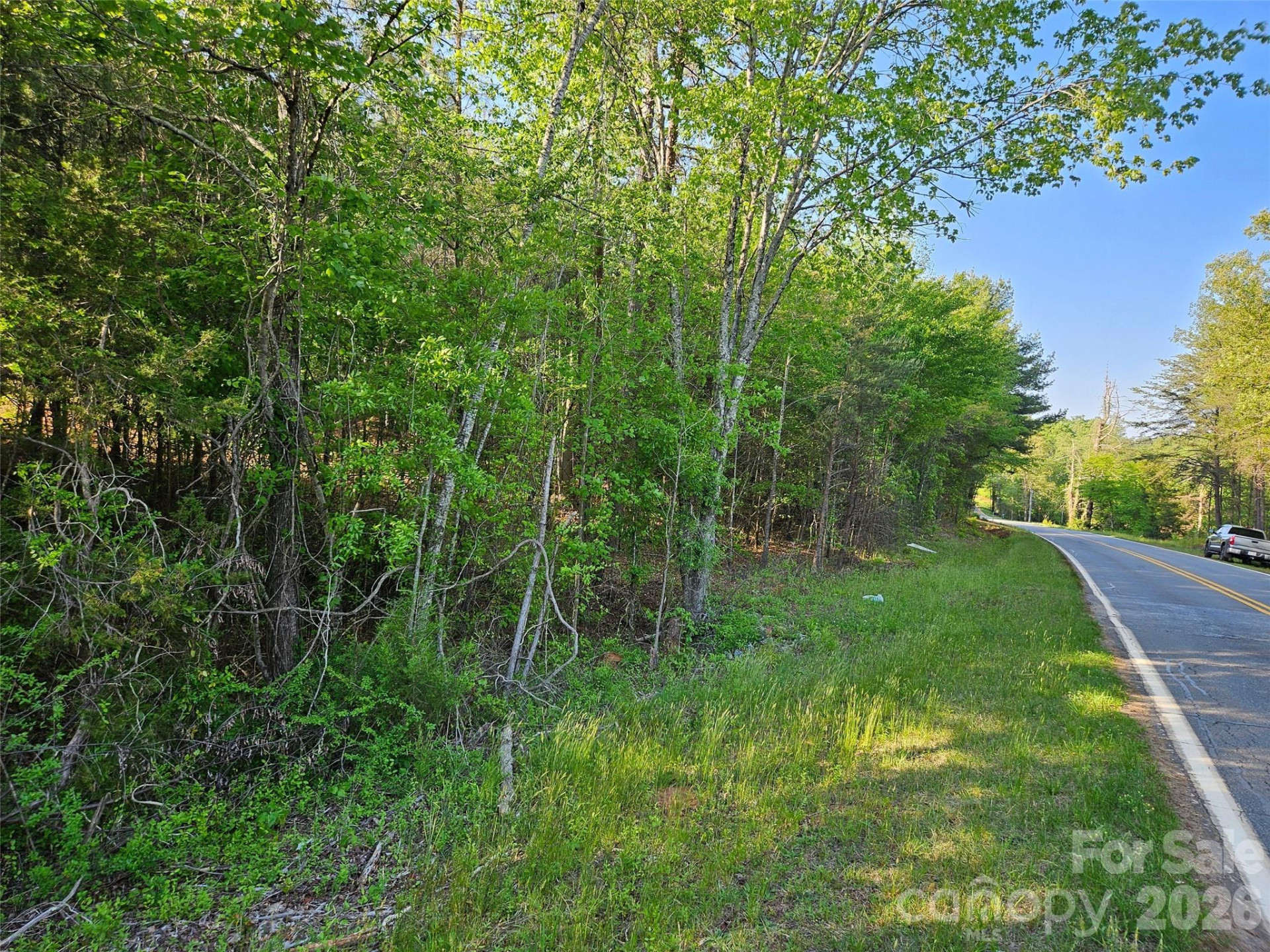 0 Old Hollis Road #2 - Photo 4