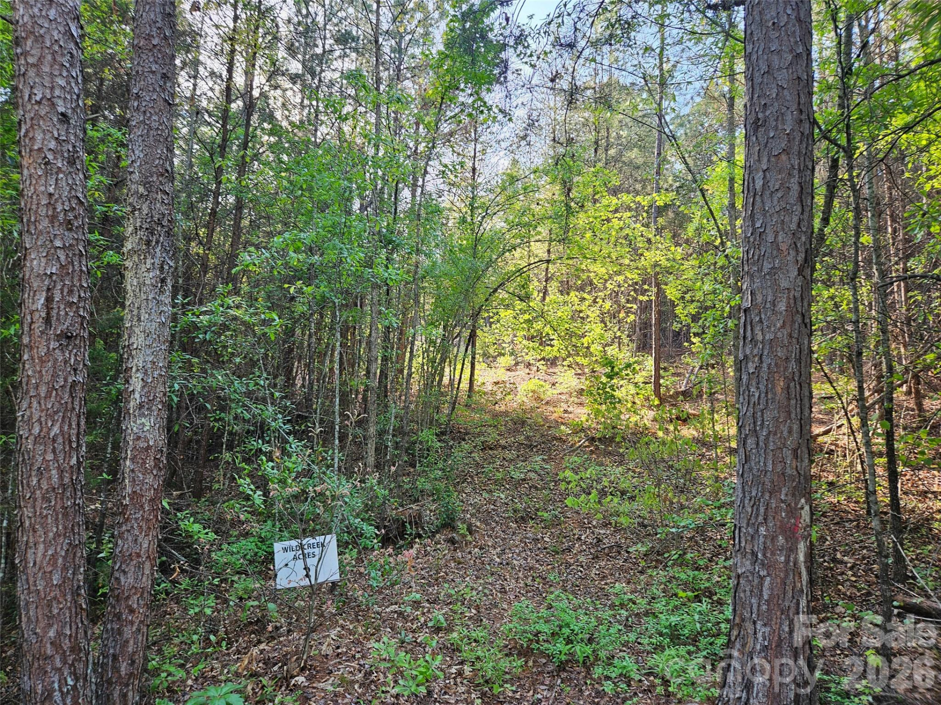 0 Old Hollis Road #2 - Photo 5