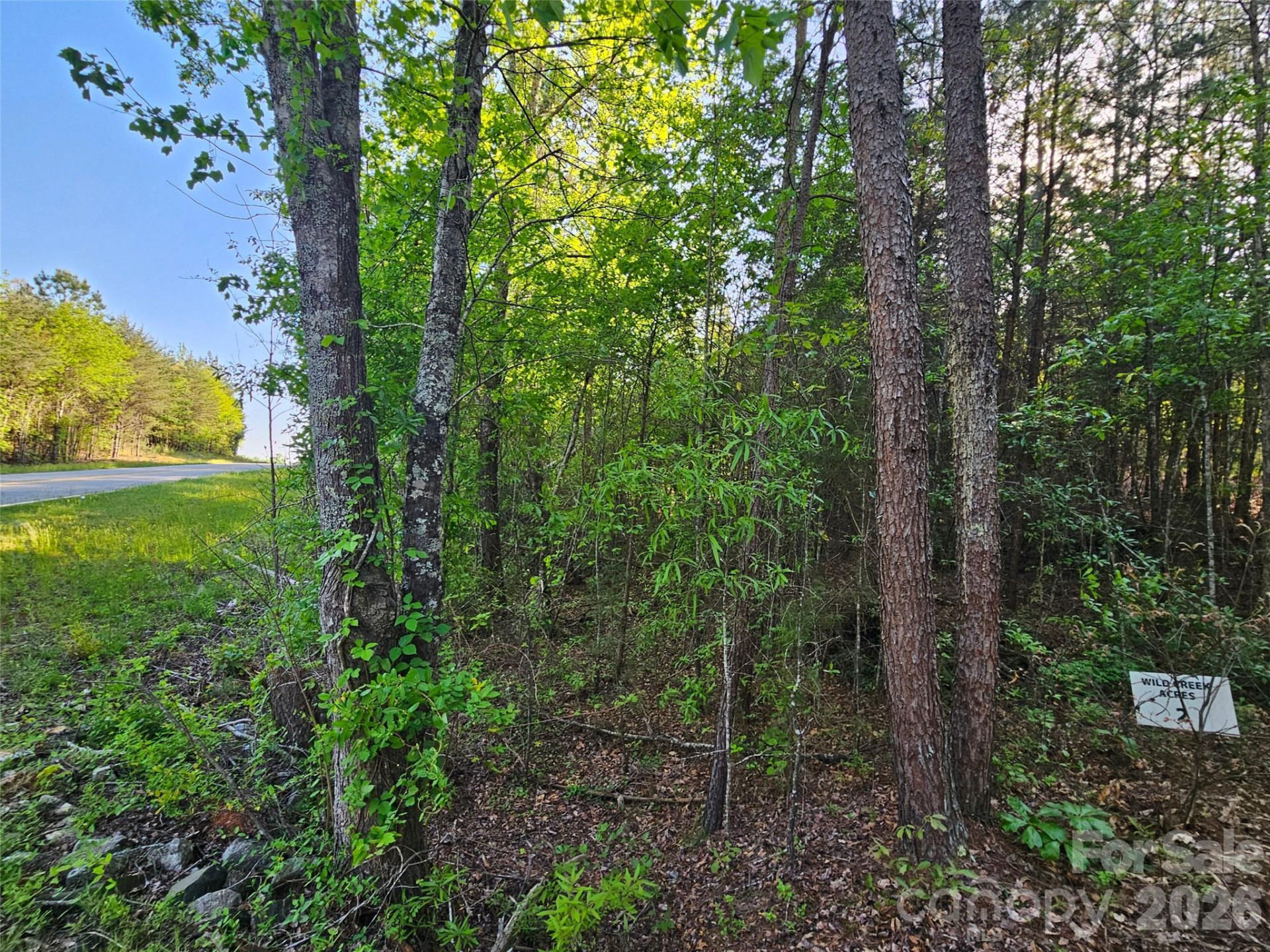 0 Old Hollis Road #2 - Photo 6