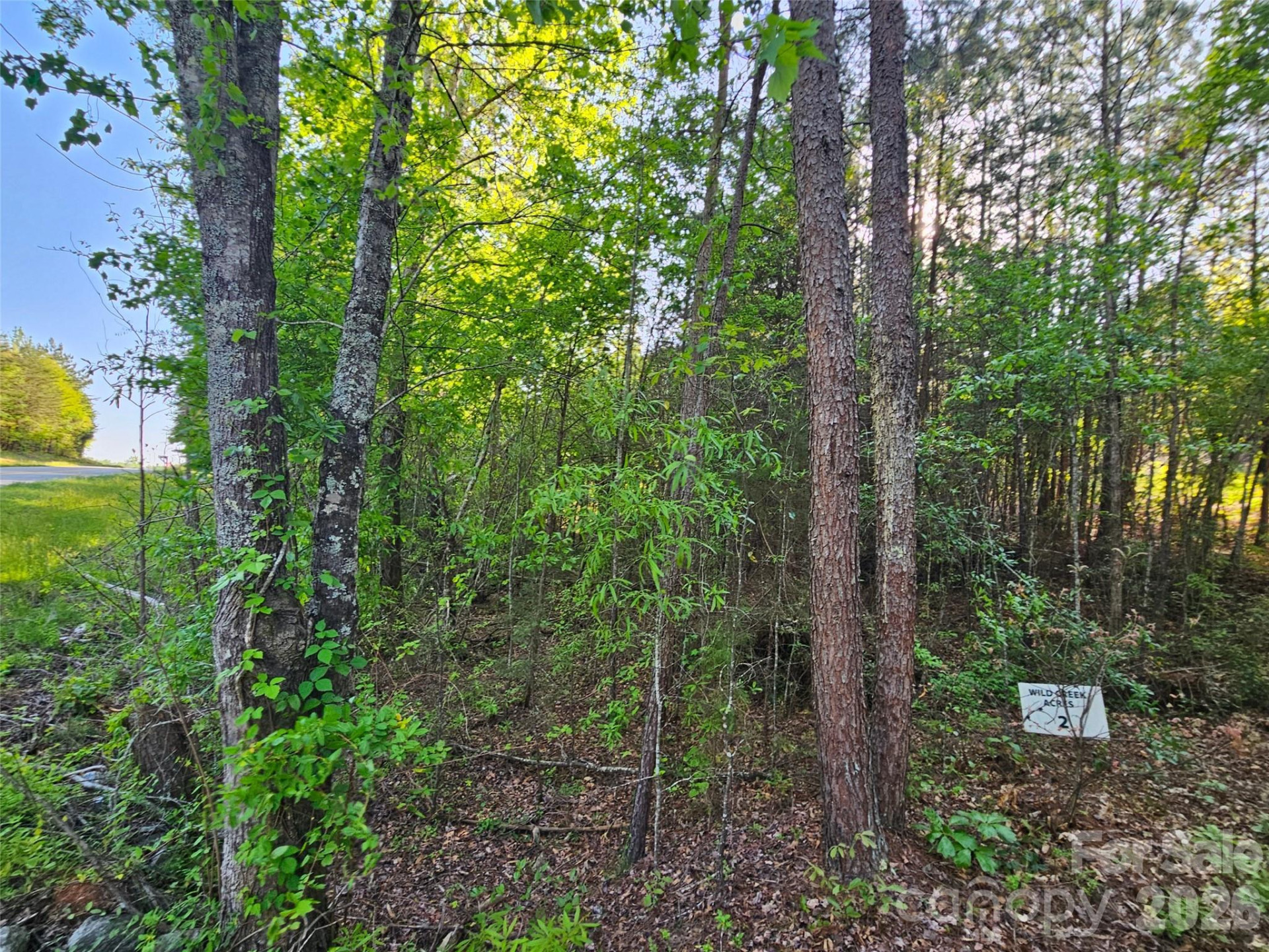 0 Old Hollis Road #2 - Photo 9