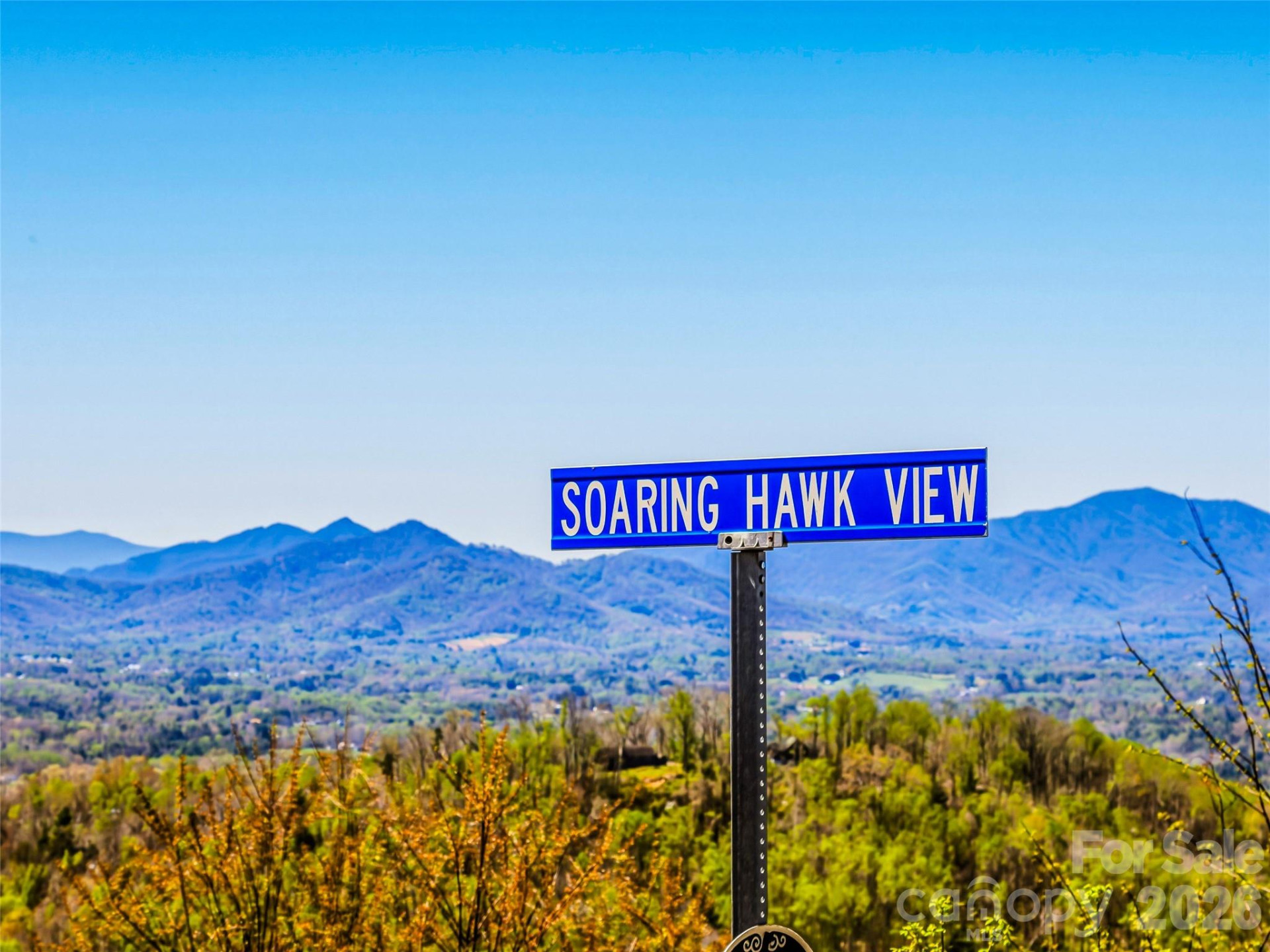 5 Soaring Hawk View #14 - Photo 3