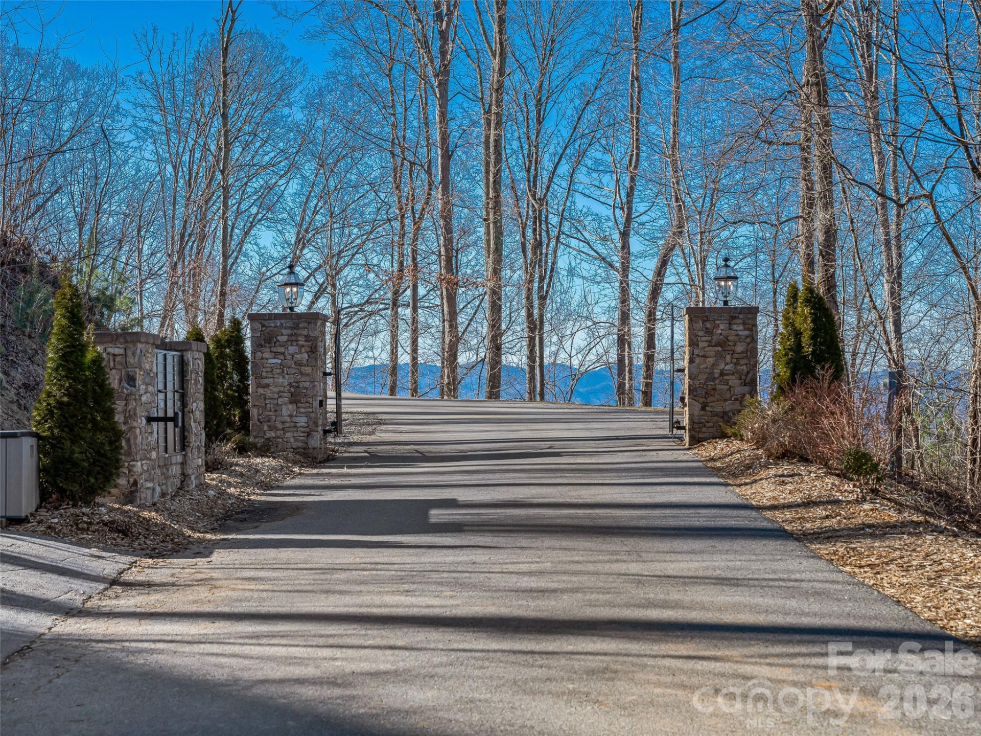 5 Soaring Hawk View #14 - Photo 29