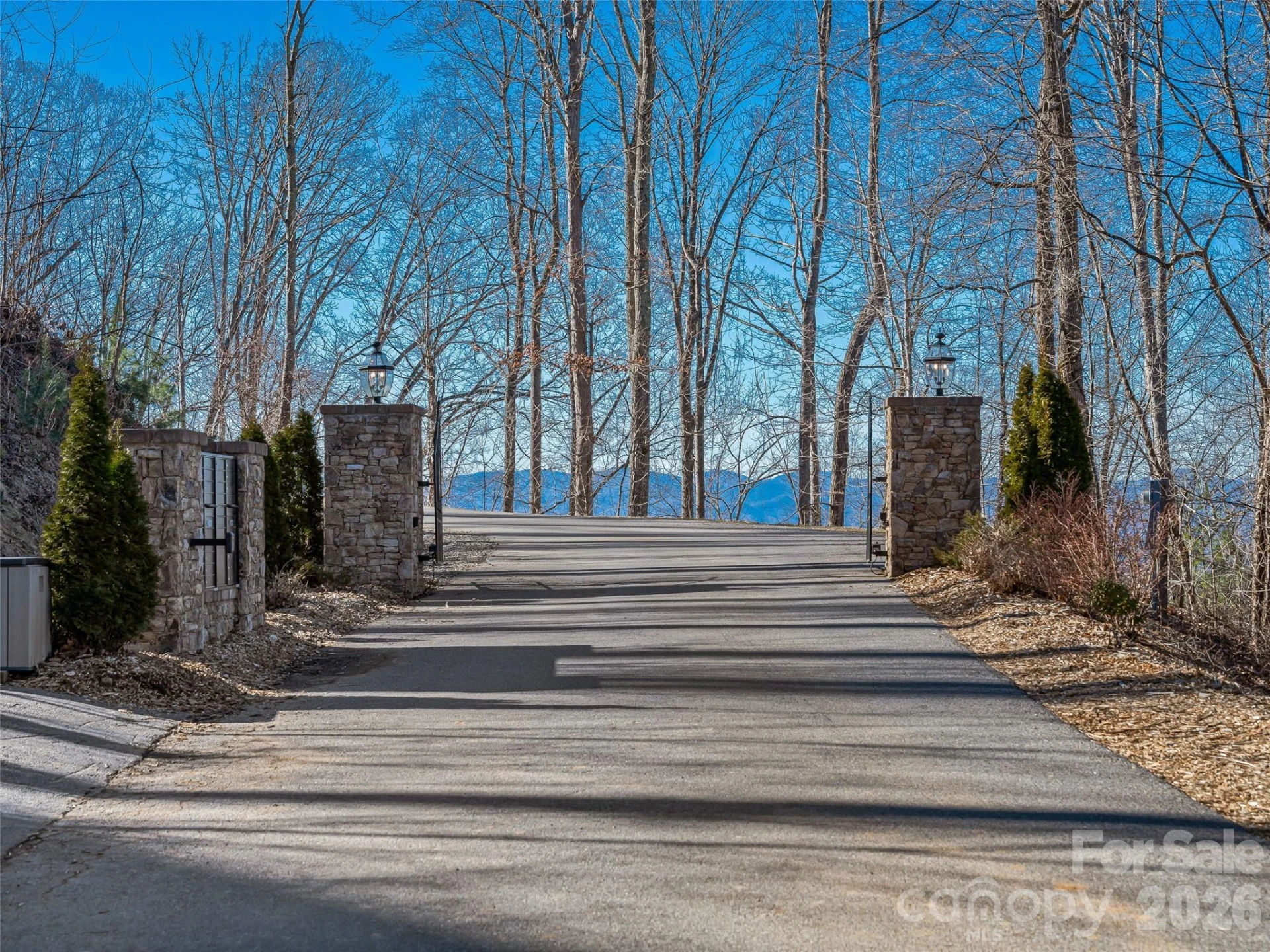 5 Soaring Hawk View #14 - Photo 29