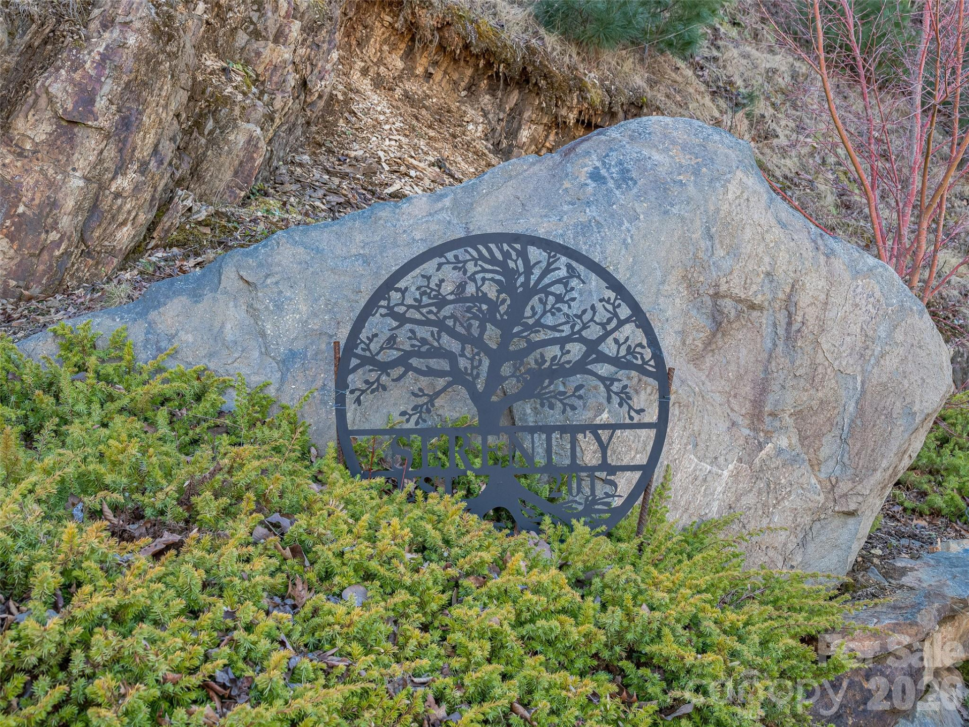 5 Soaring Hawk View #14 - Photo 30