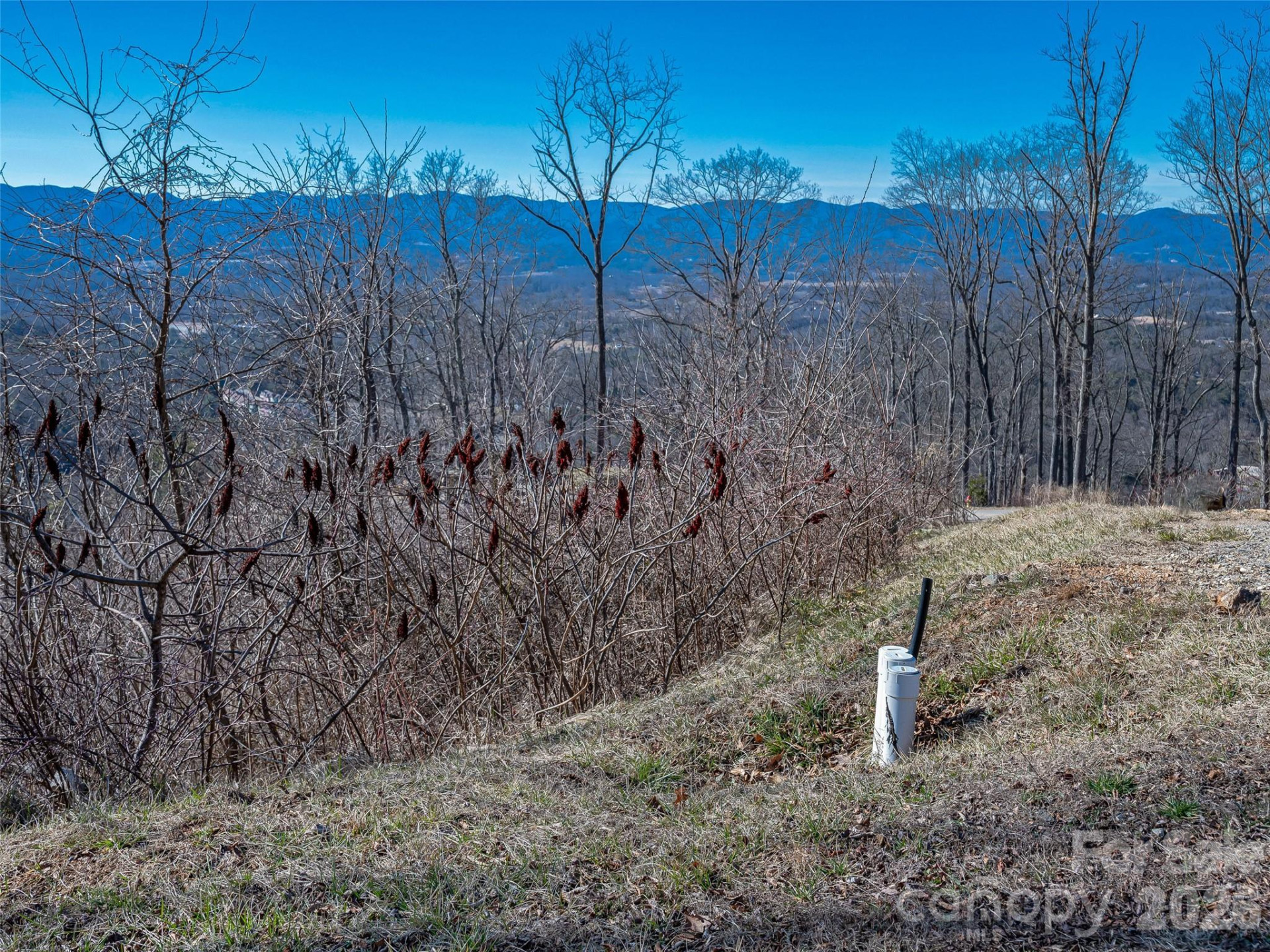 5 Soaring Hawk View #14 - Photo 31