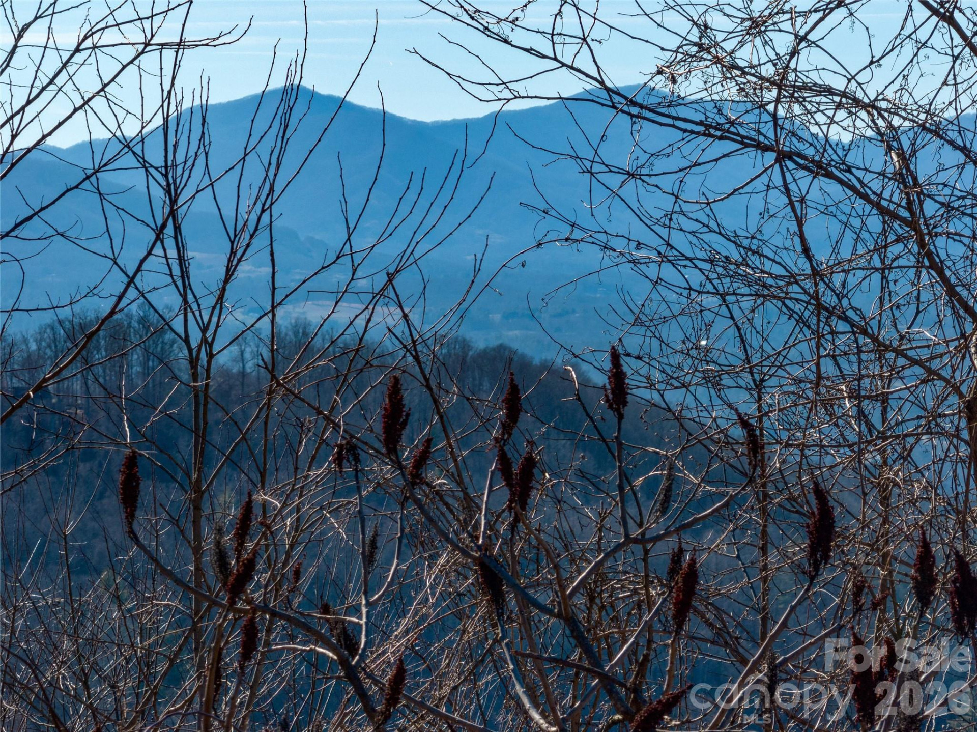 5 Soaring Hawk View #14 - Photo 35