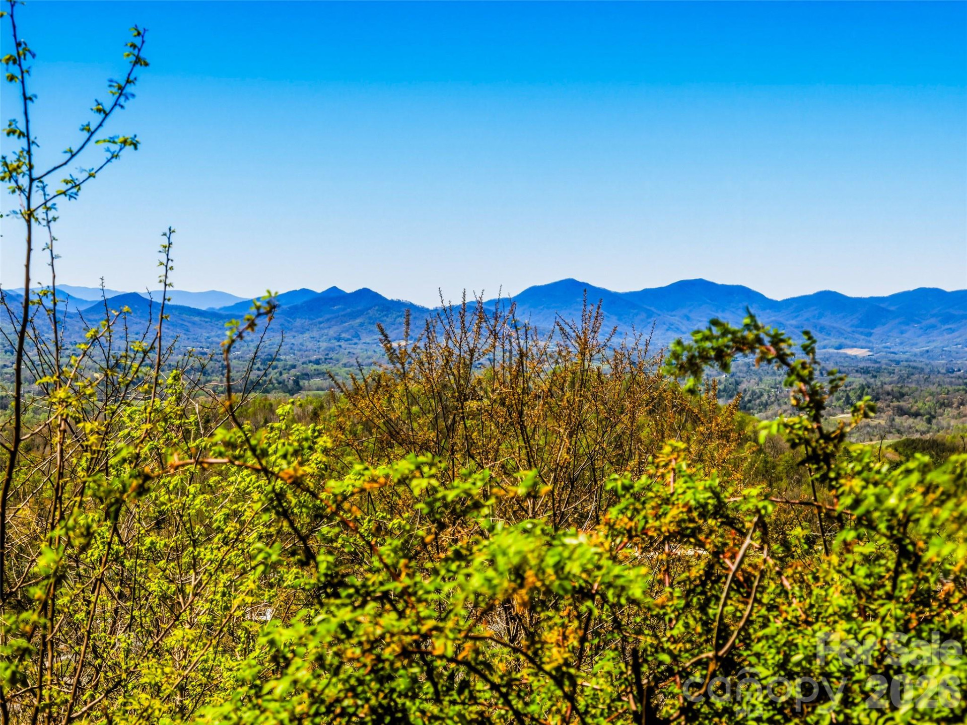 5 Soaring Hawk View #14 - Photo 7