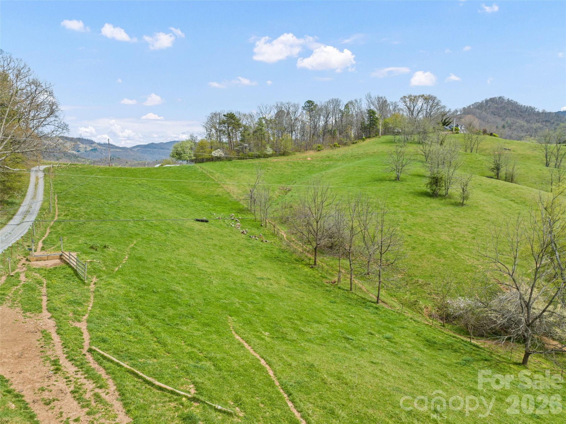 80 Gobblers Knob Drive - Photo 47