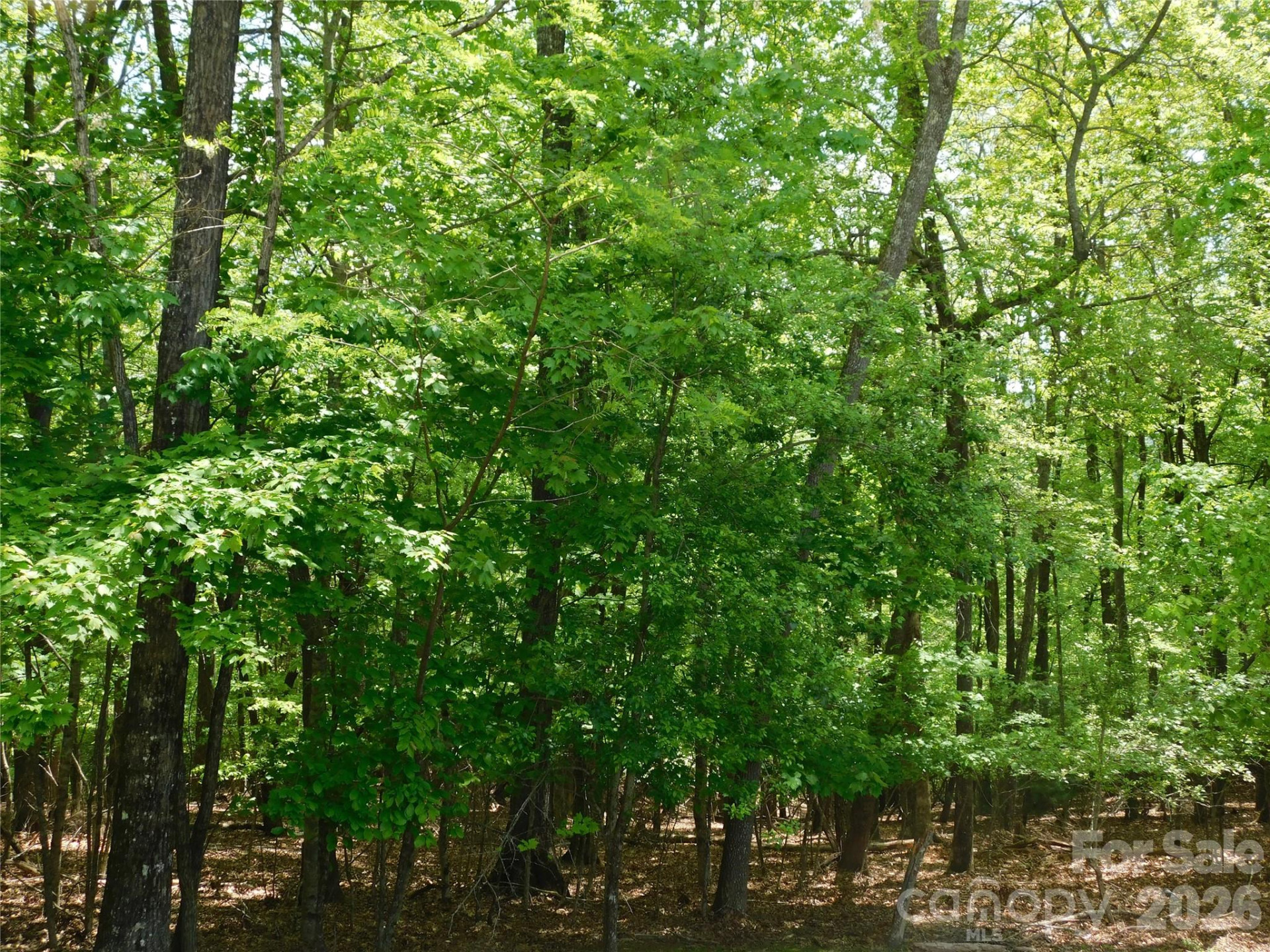 1064 Skye Drive - Photo 20