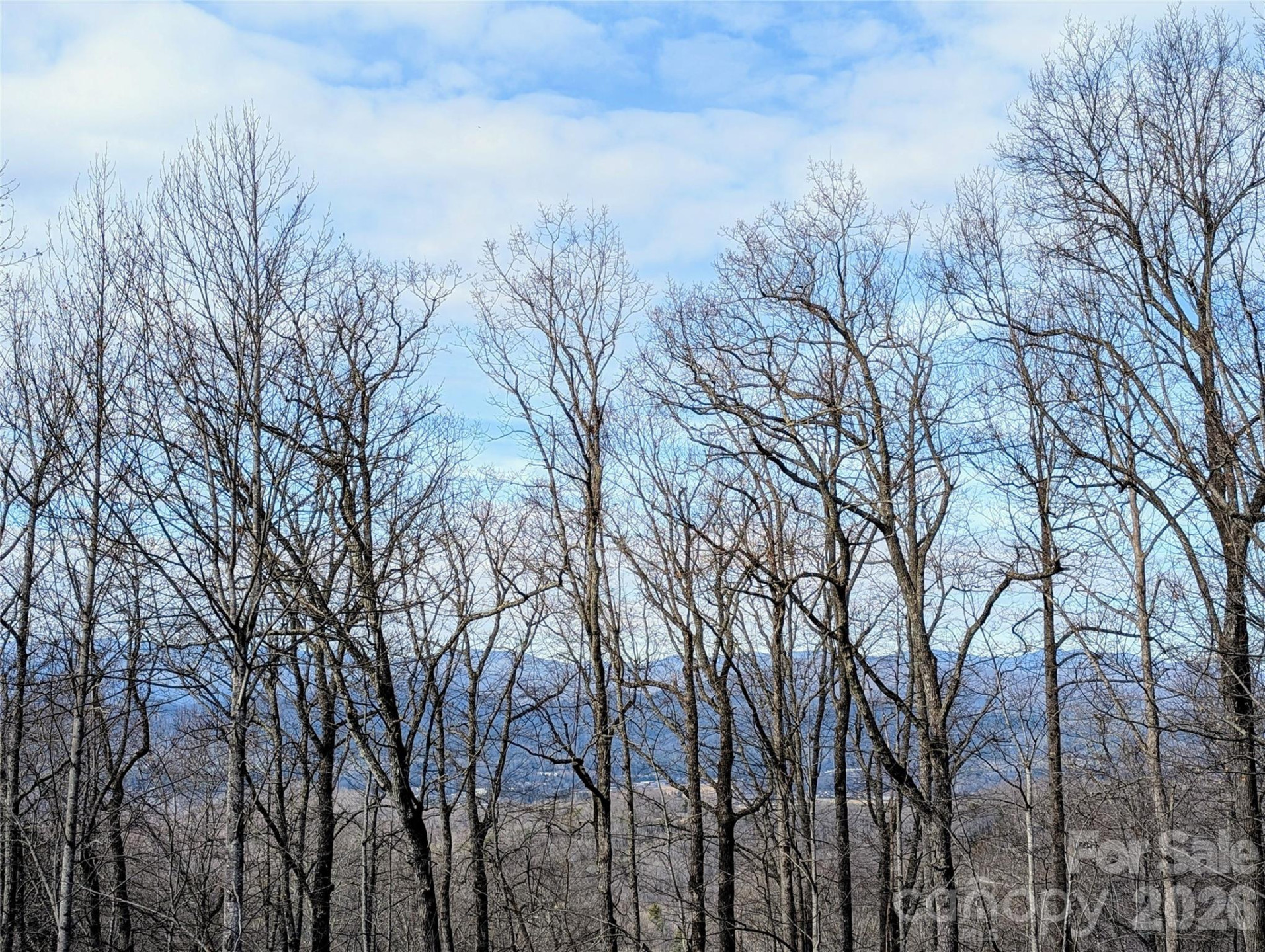 1064 Skye Drive - Photo 23