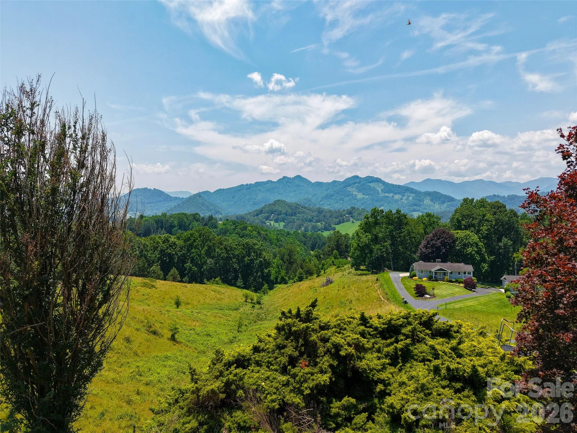 80 Gobblers Knob Drive - Photo 8
