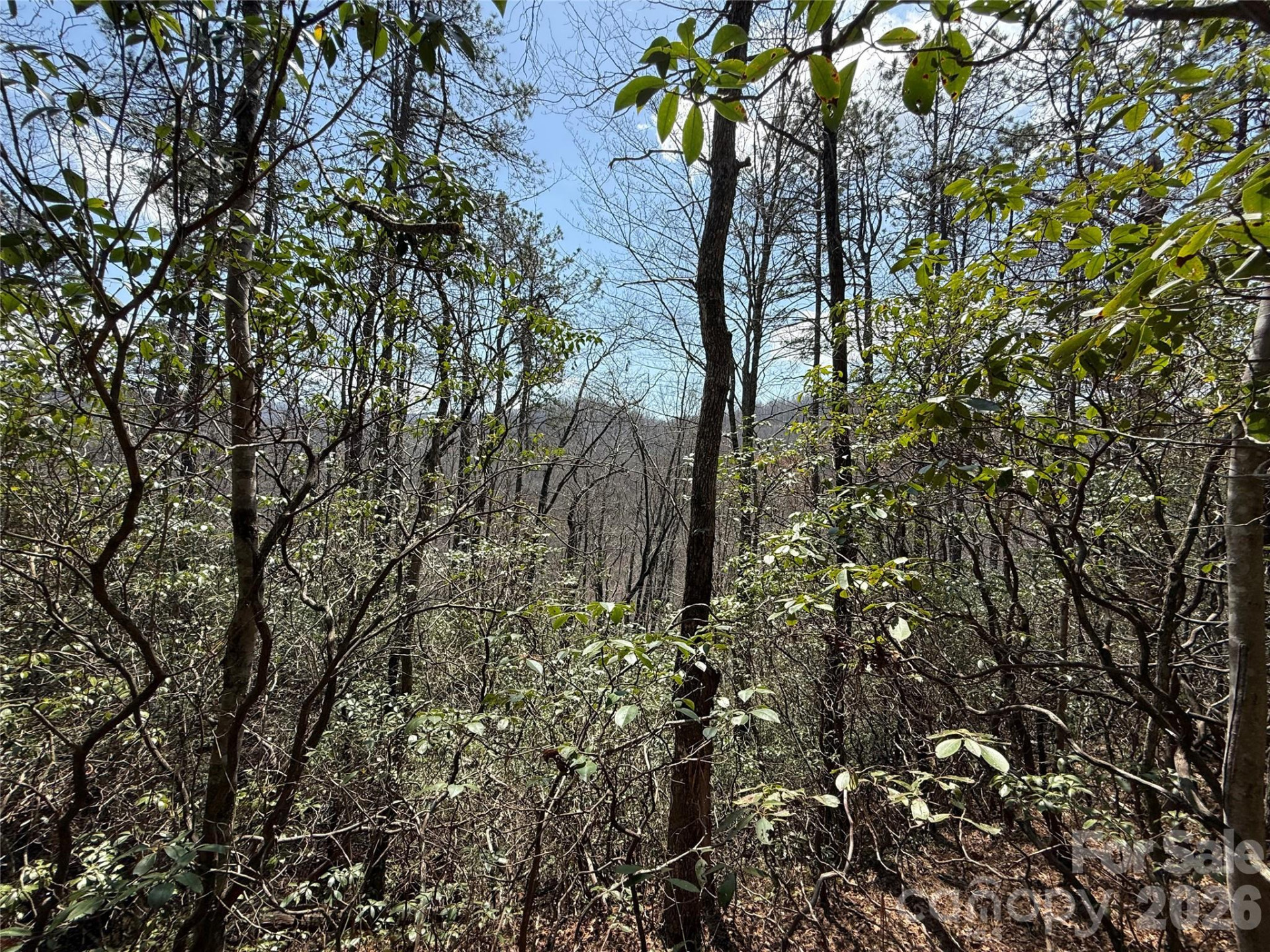 00 Line Runner Ridge Road