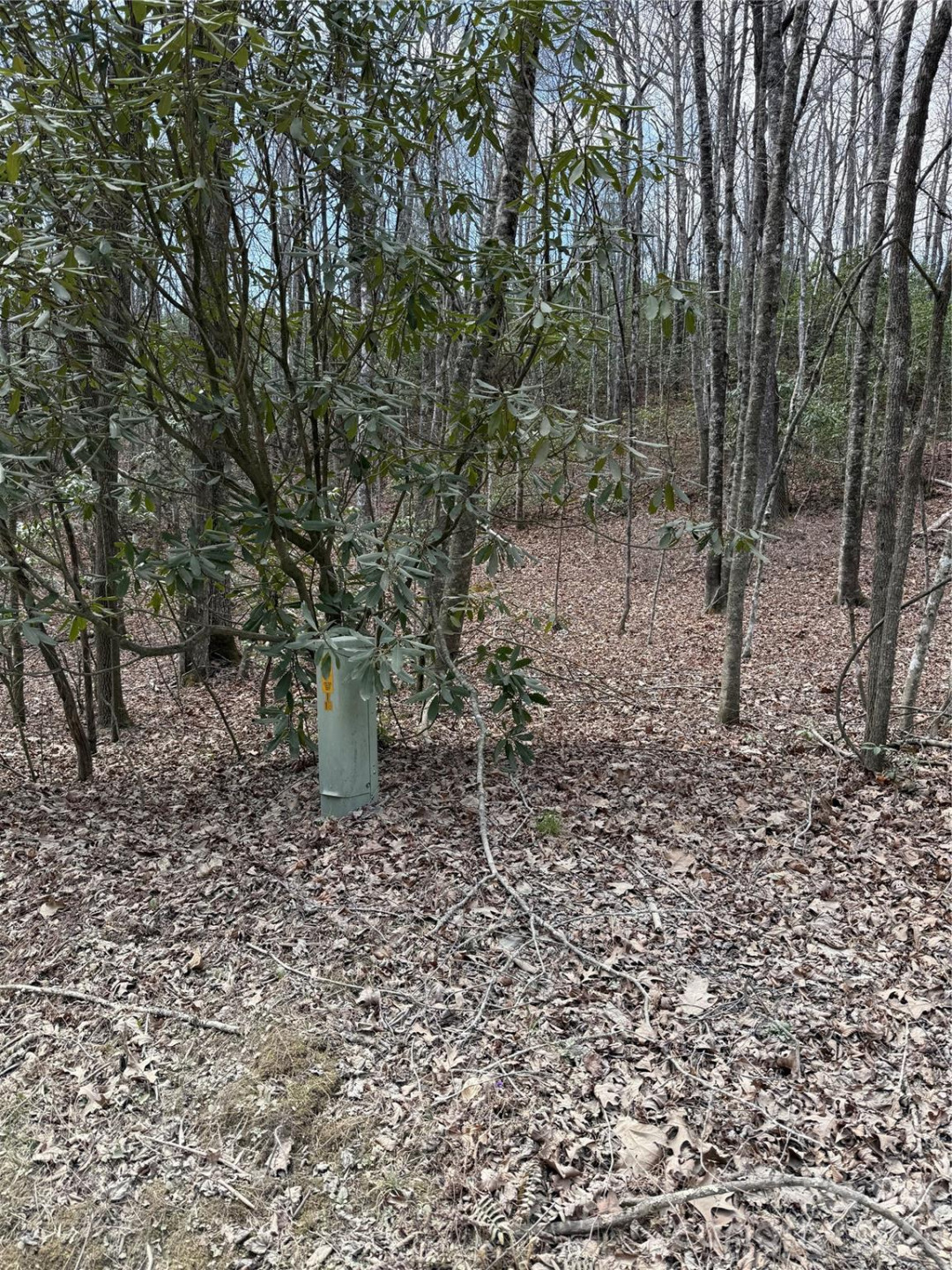 00 Line Runner Ridge Road - Photo 13